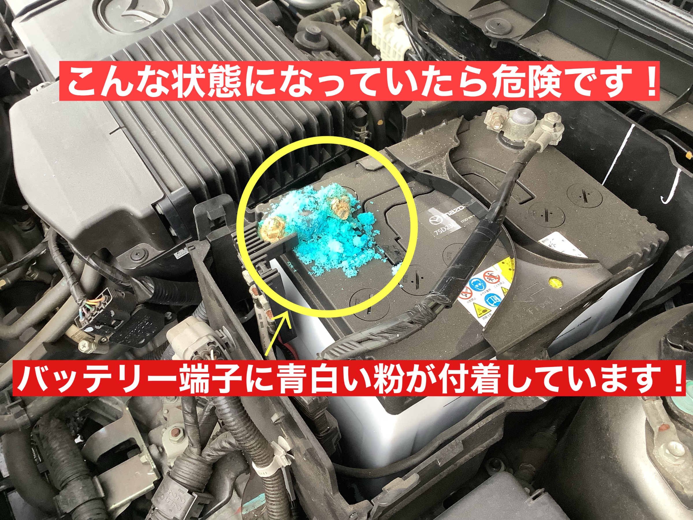 スタッフが撮影