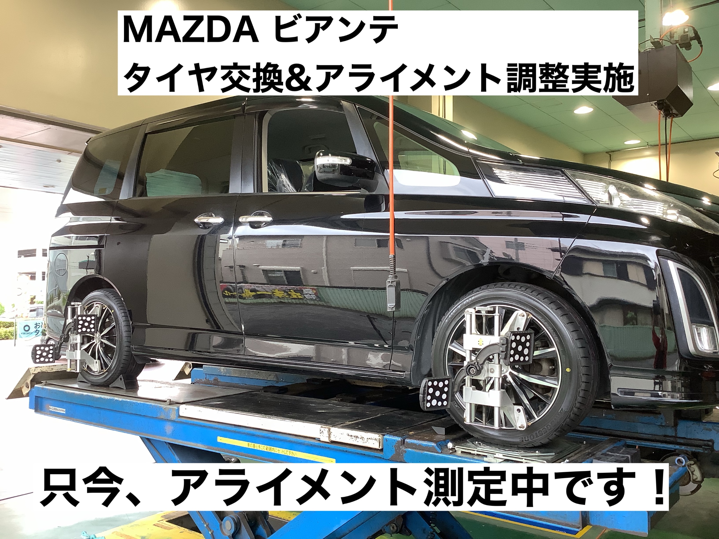 スタッフが撮影