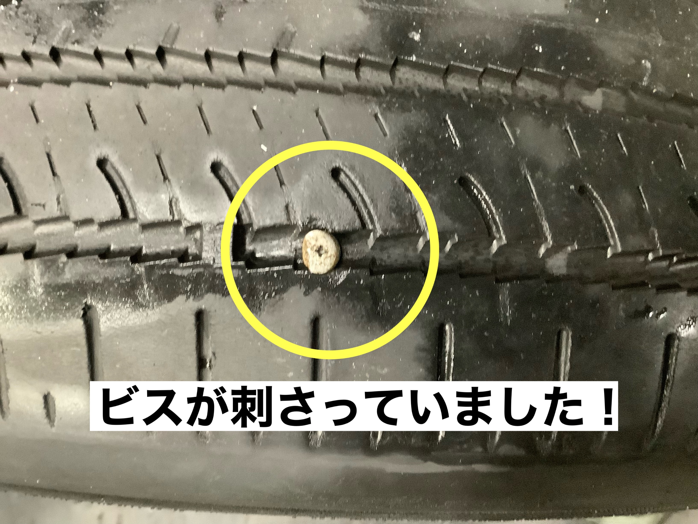 スタッフが撮影