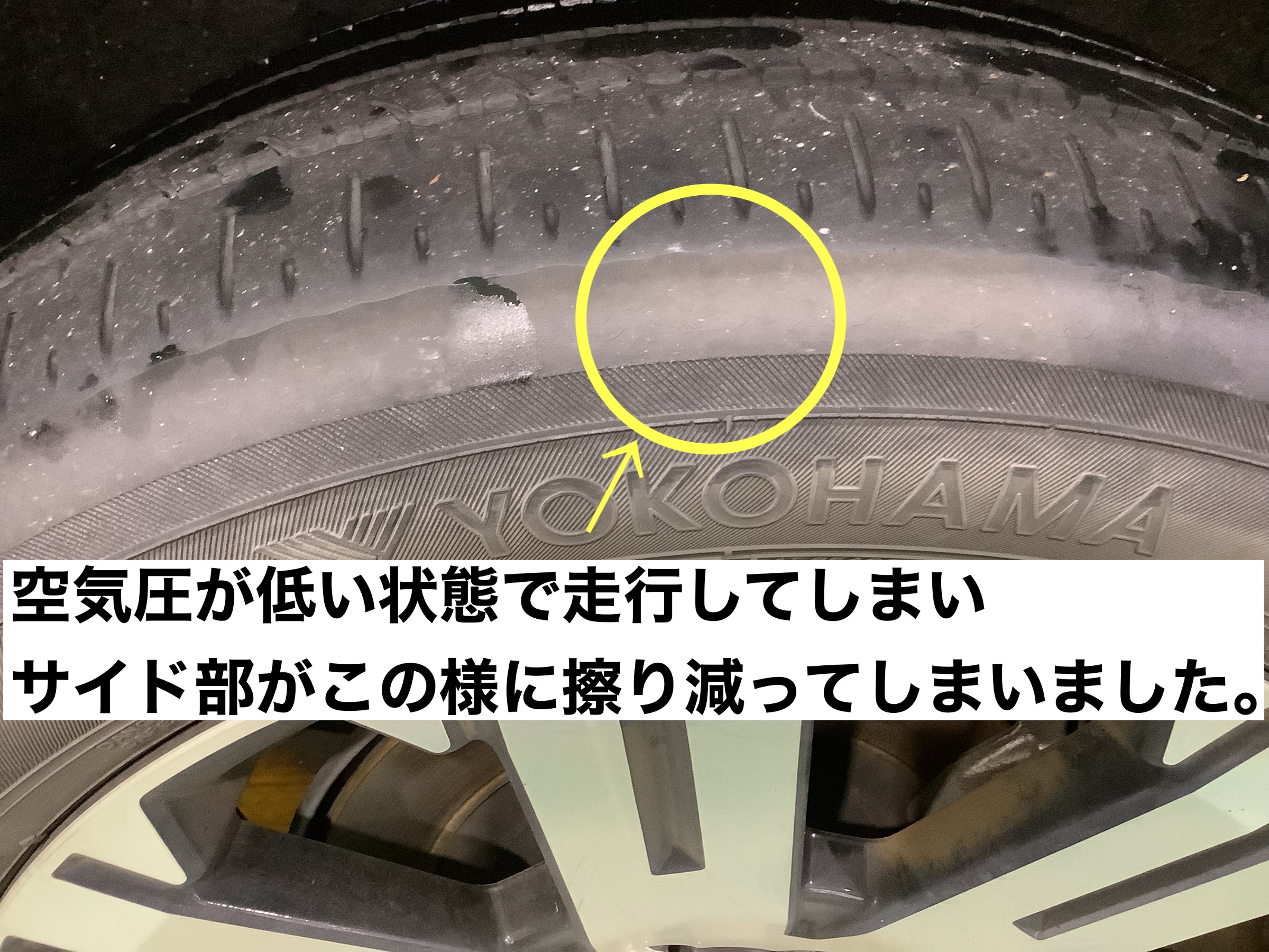 スタッフが撮影