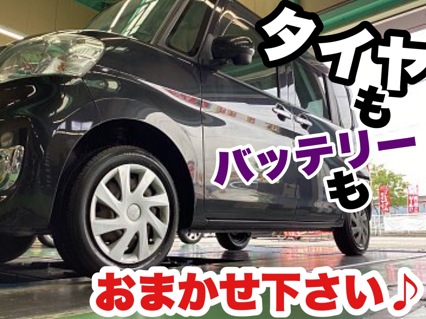 スタッフ撮影分