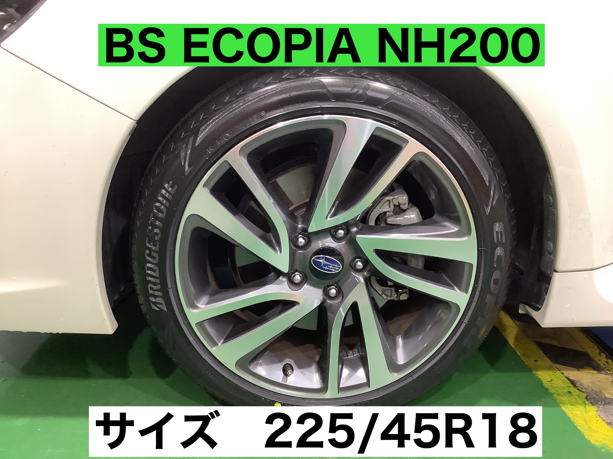 スタッフが撮影