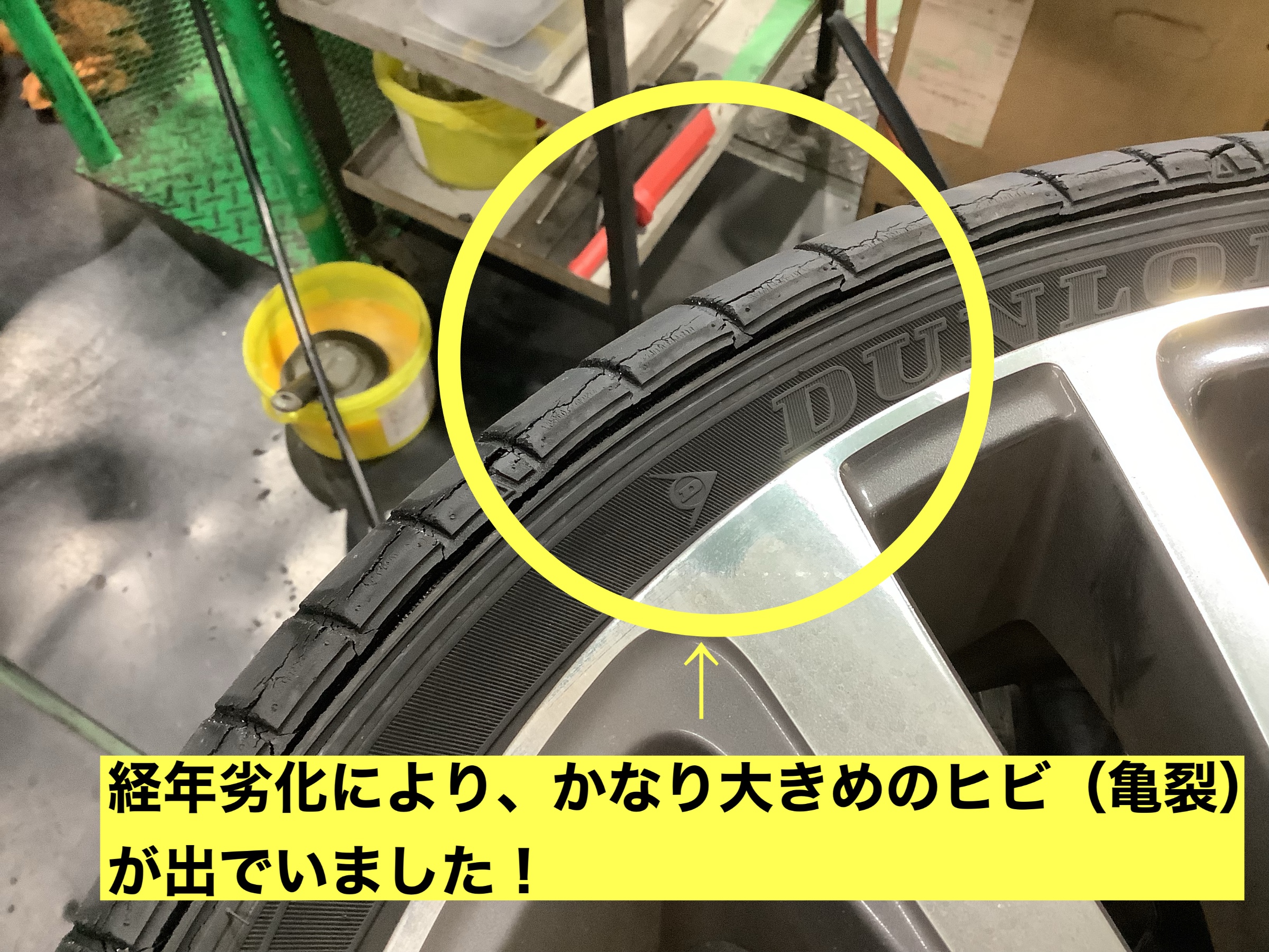 スタッフが撮影