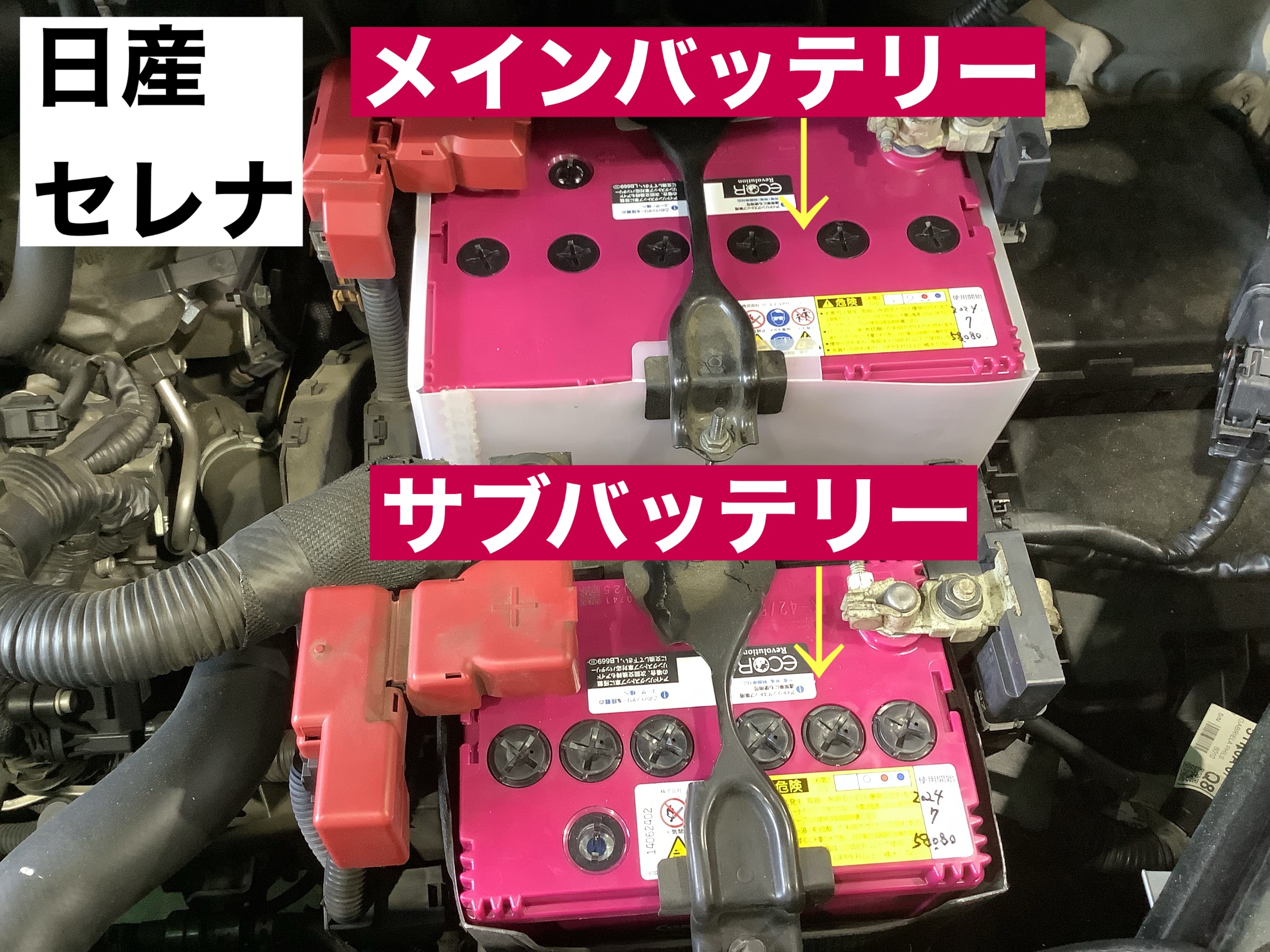 スタッフが撮影