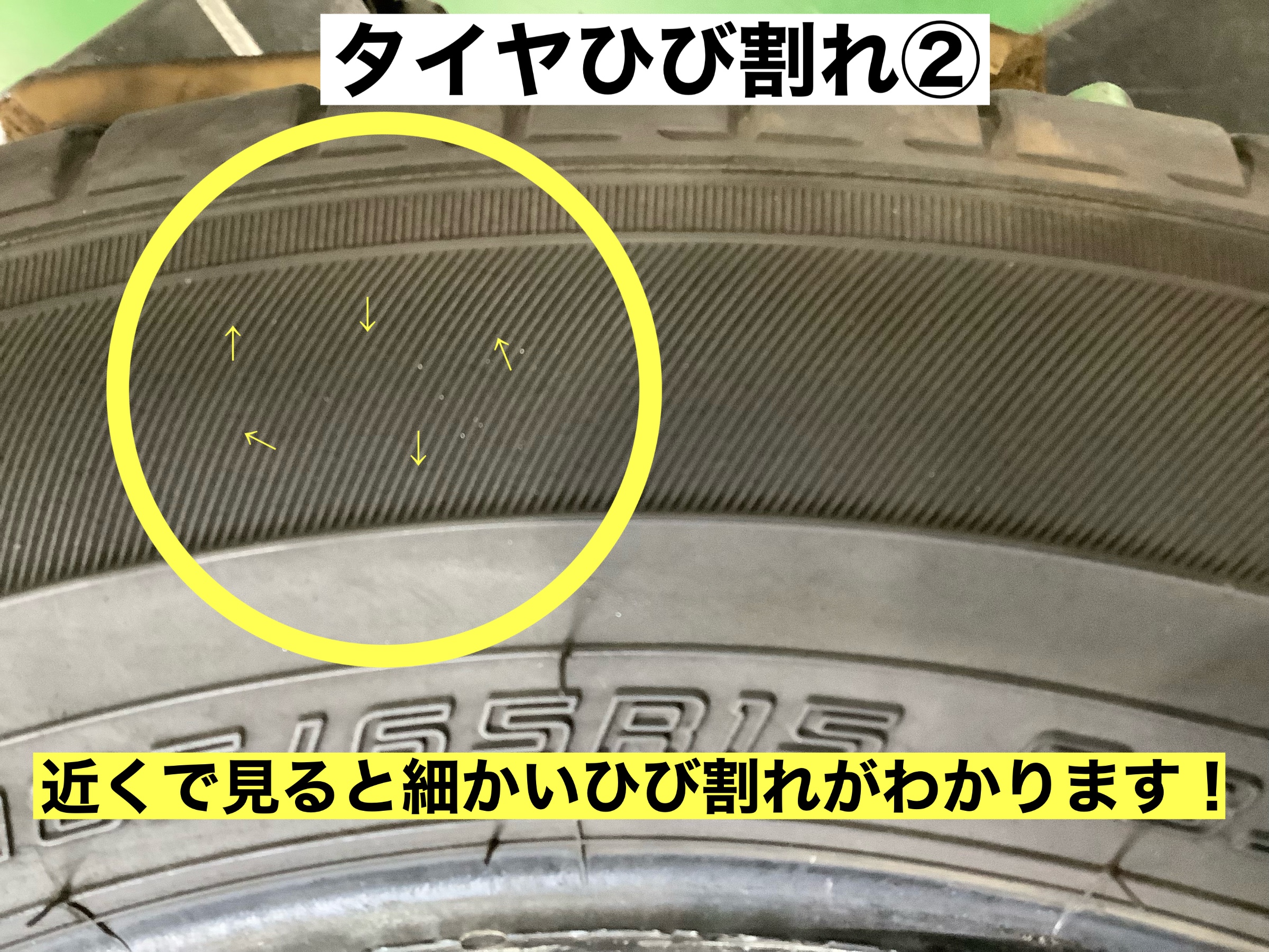 スタッフが撮影
