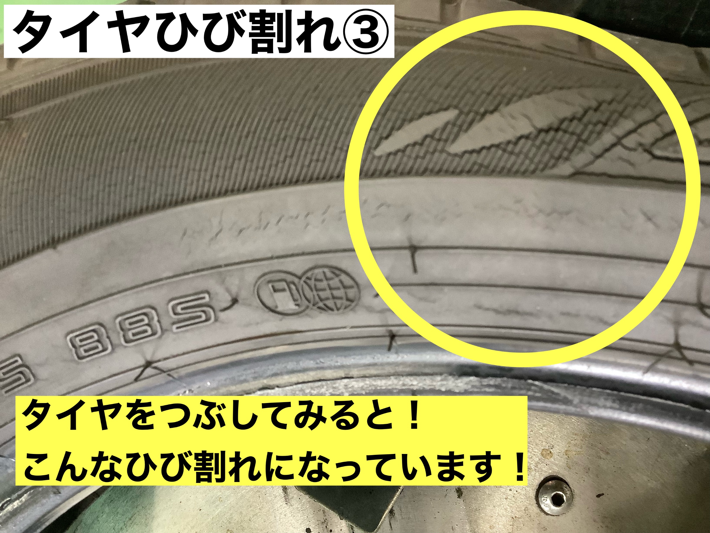 スタッフが撮影