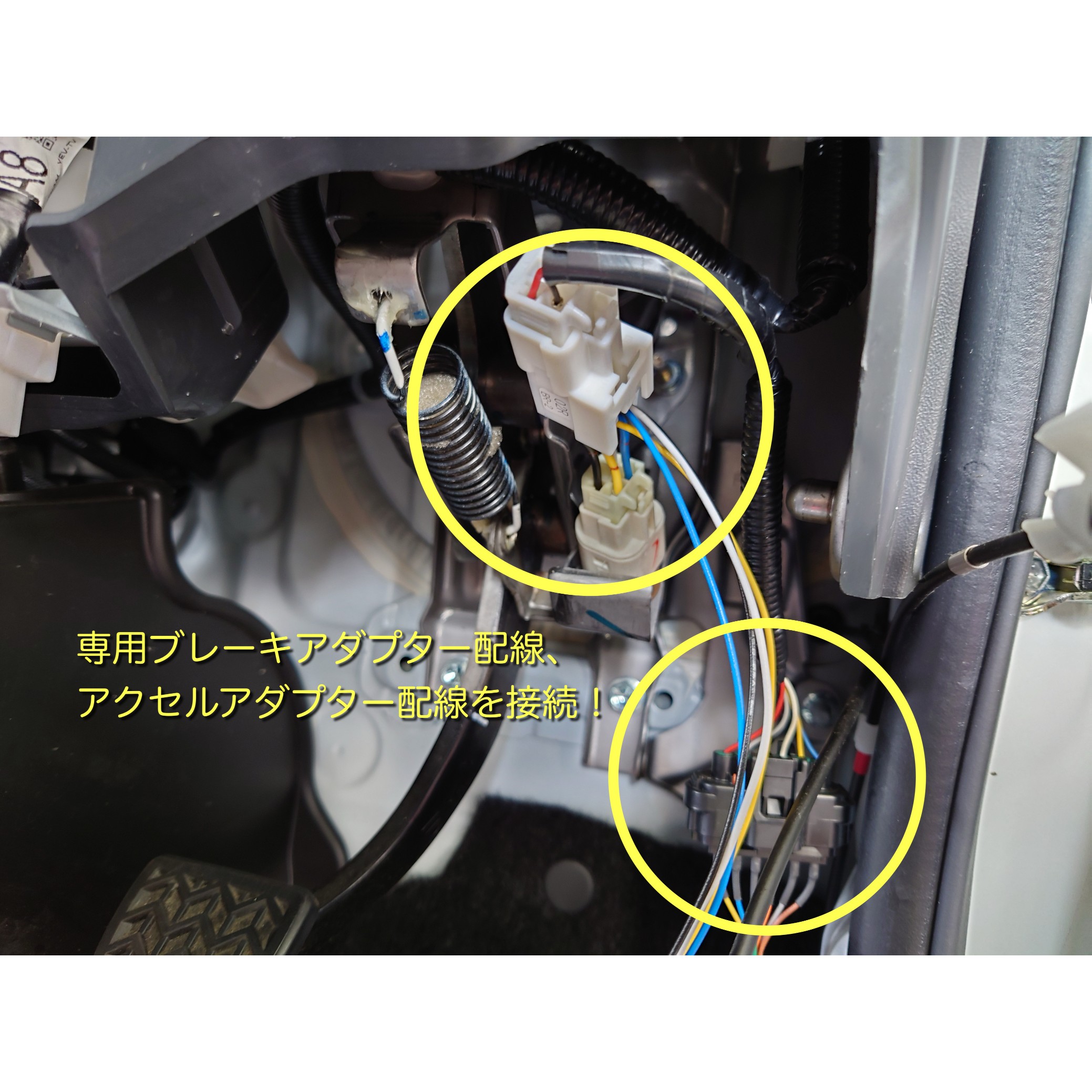 スタッフが撮影、文字加工をした画像になります。