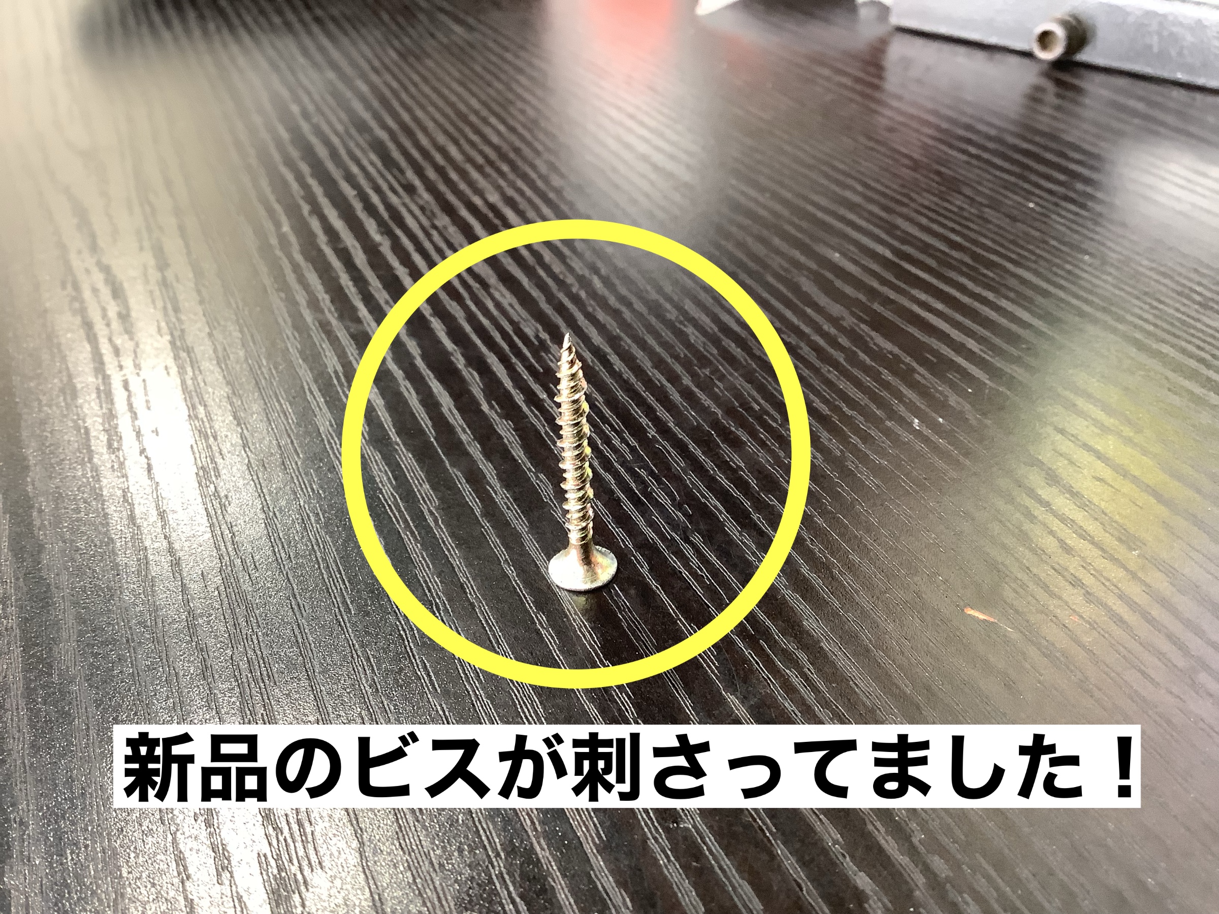 スタッフが撮影