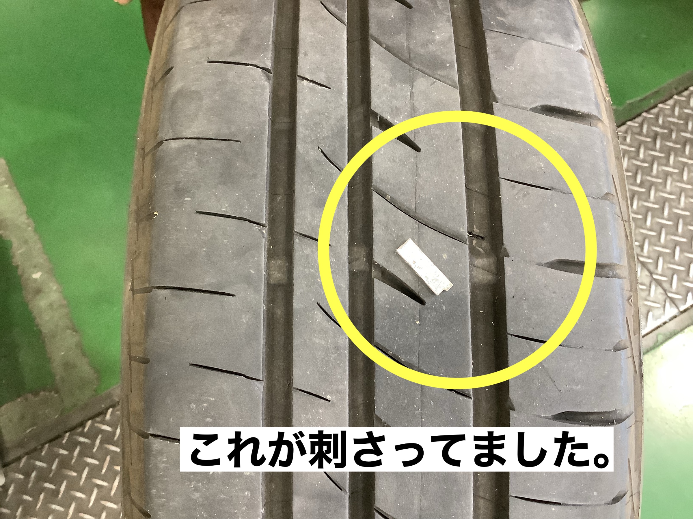 スタッフが撮影