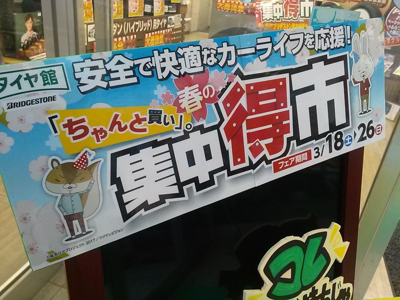 スタッフが撮影した画像です。
