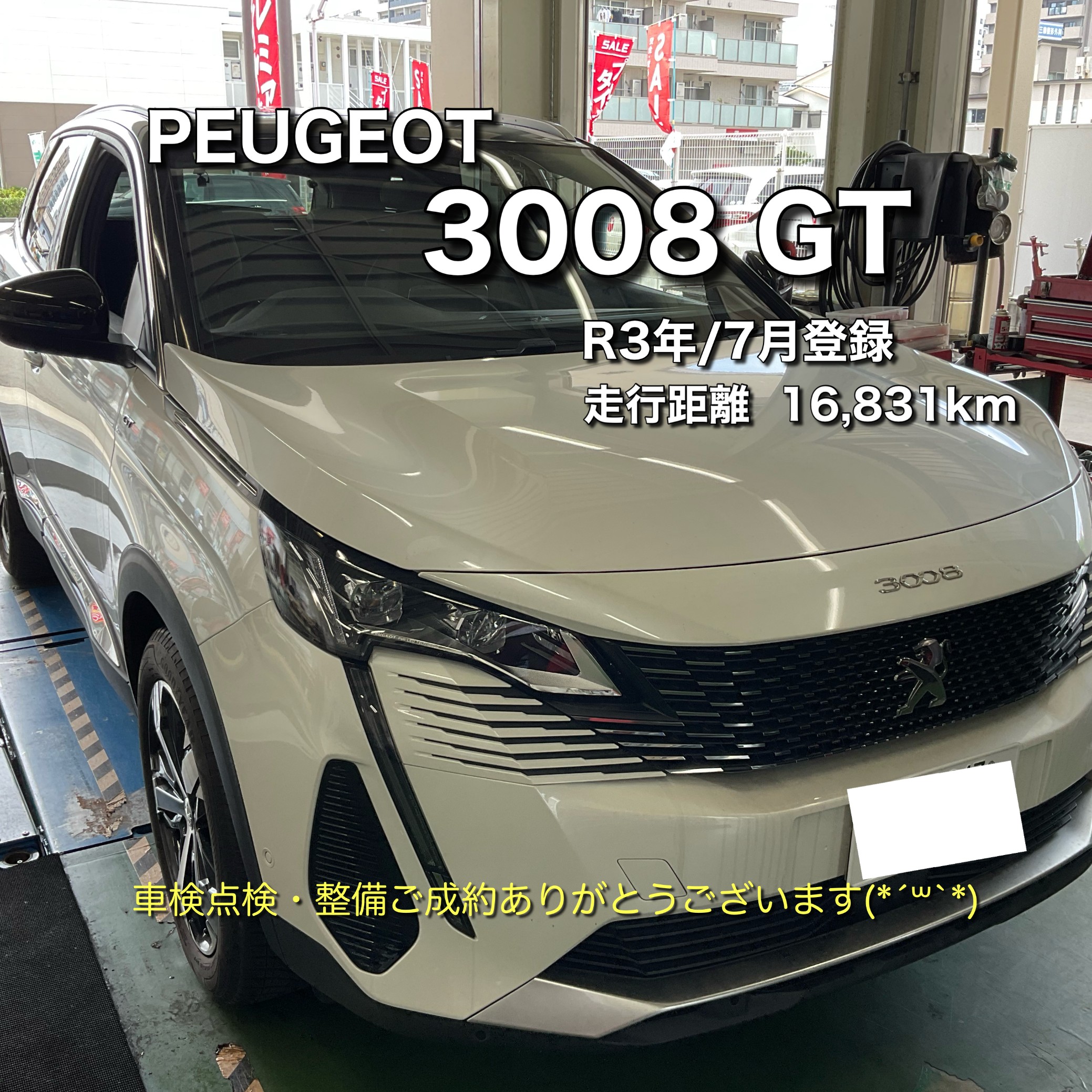スタッフが撮影、文字加工をした画像になります。