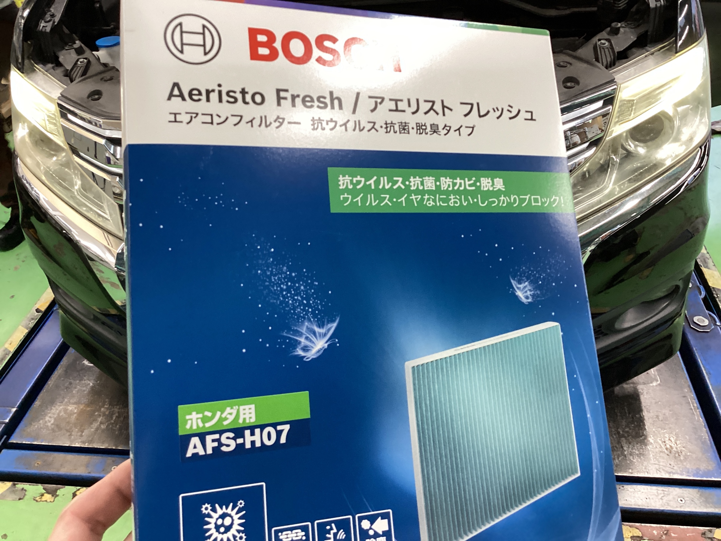 スタッフ撮影分