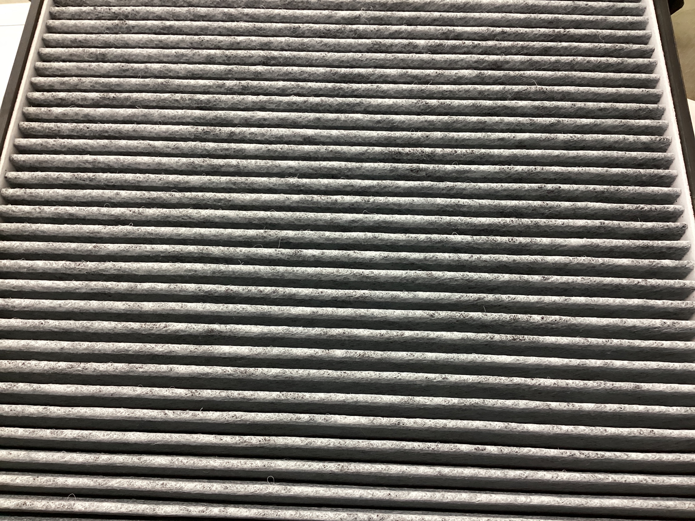 スタッフ撮影分