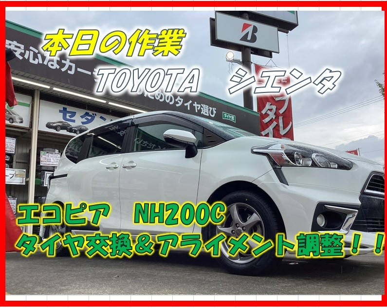 スタッフが撮影