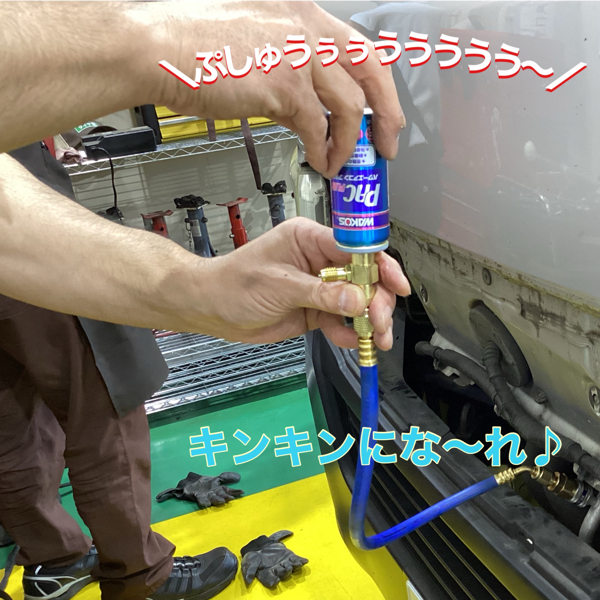 スタッフ撮影分です