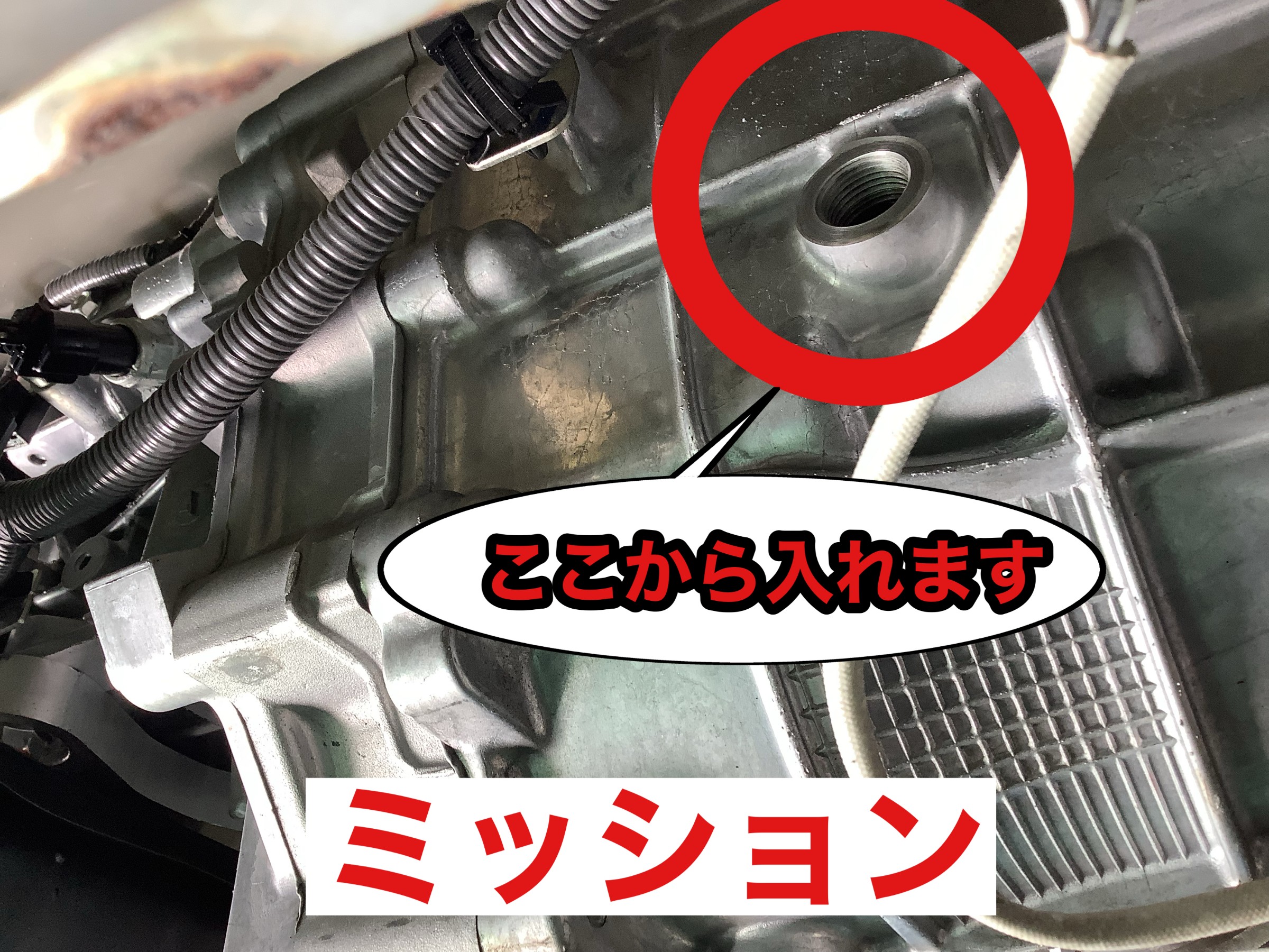 デフオイル・ミッションオイル交換 日産Z | 店舗おススメ情報