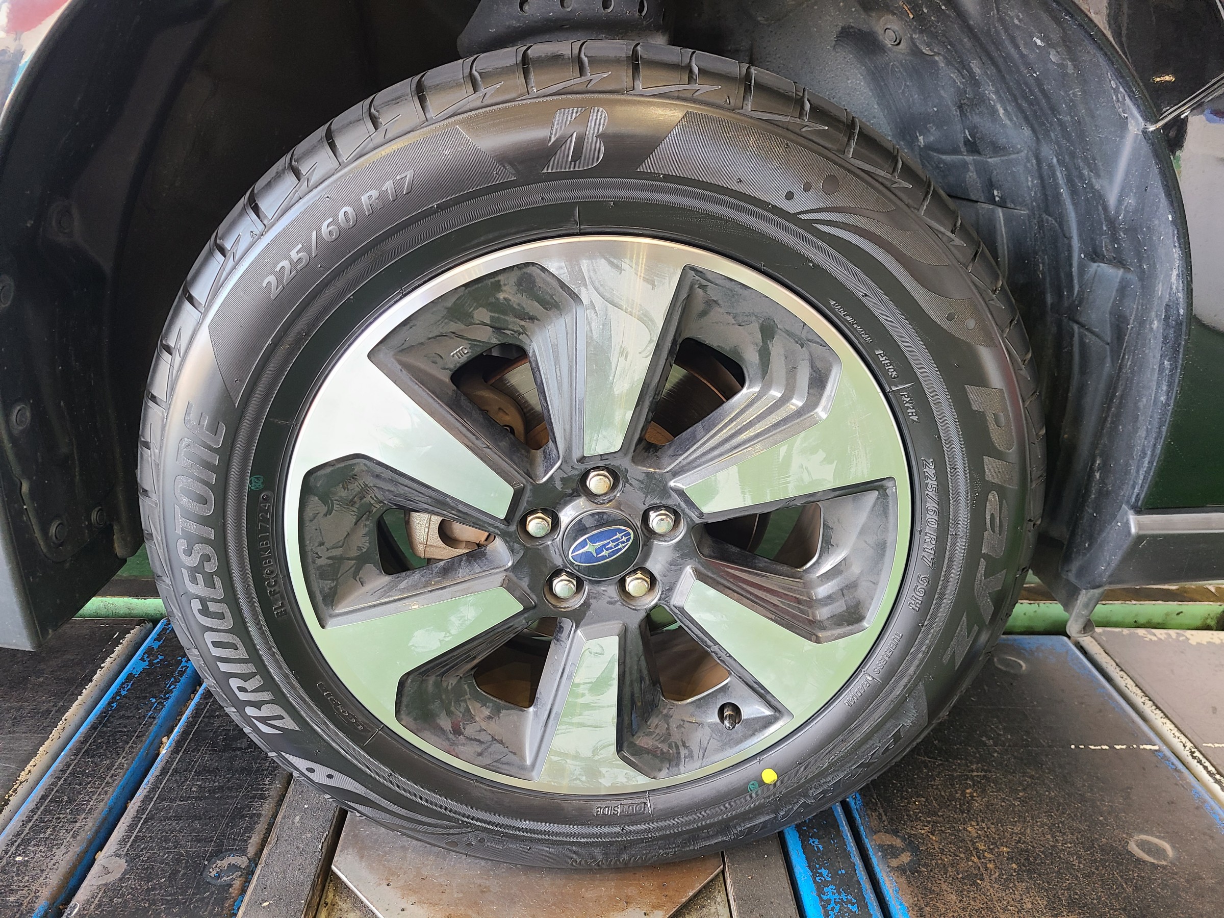 スタッフが撮影しました。