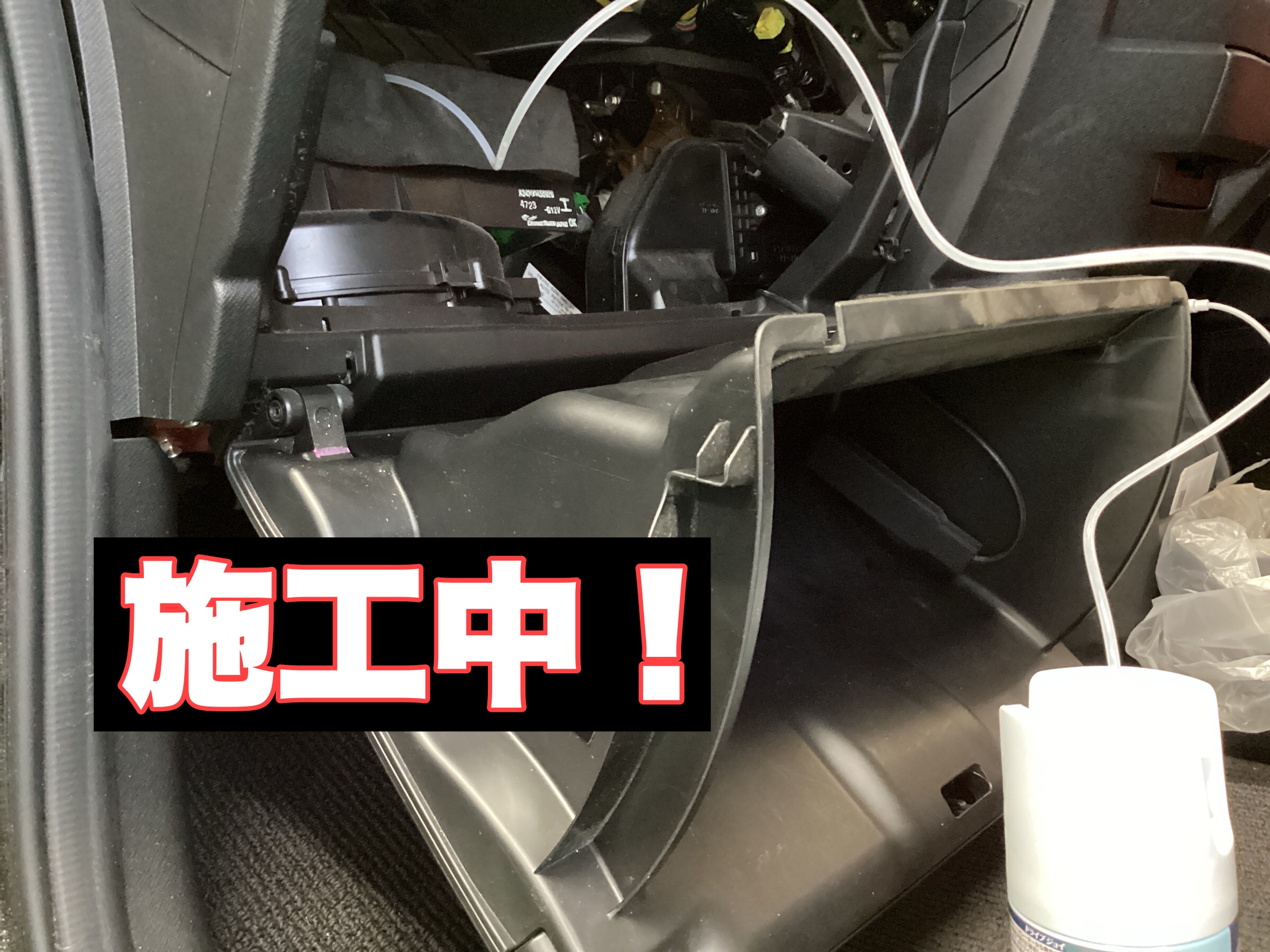 スタッフ撮影分