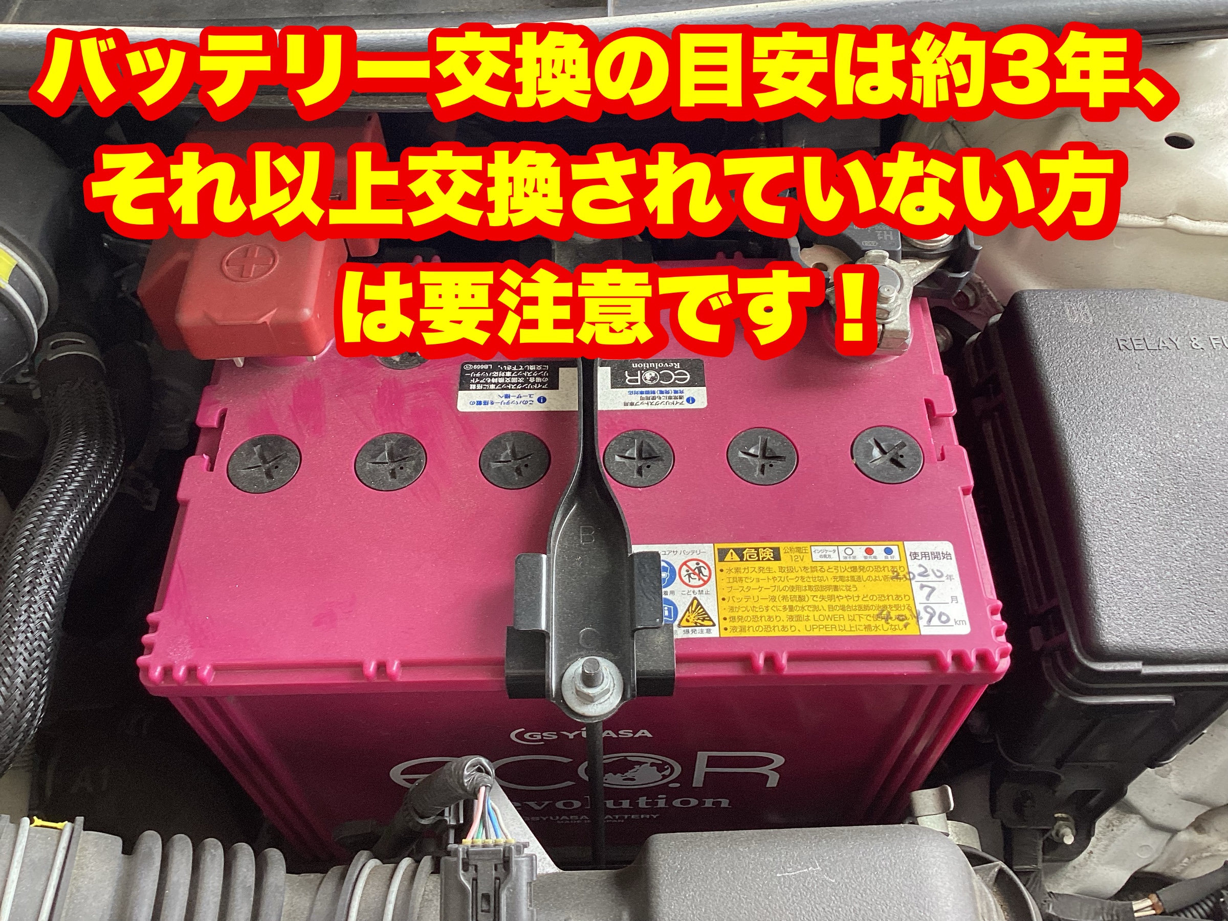 スタッフ撮影