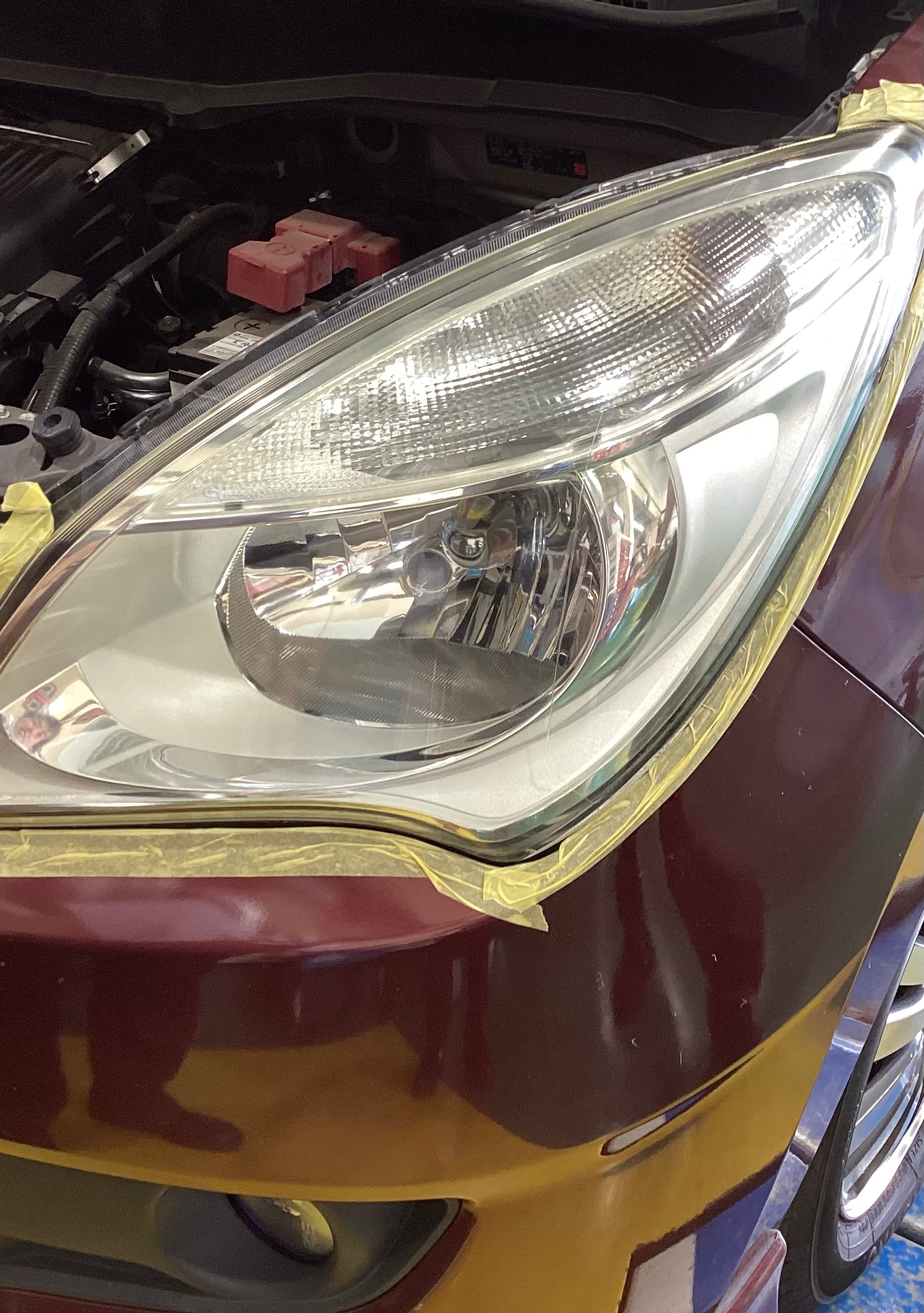 スタッフが撮った写真です