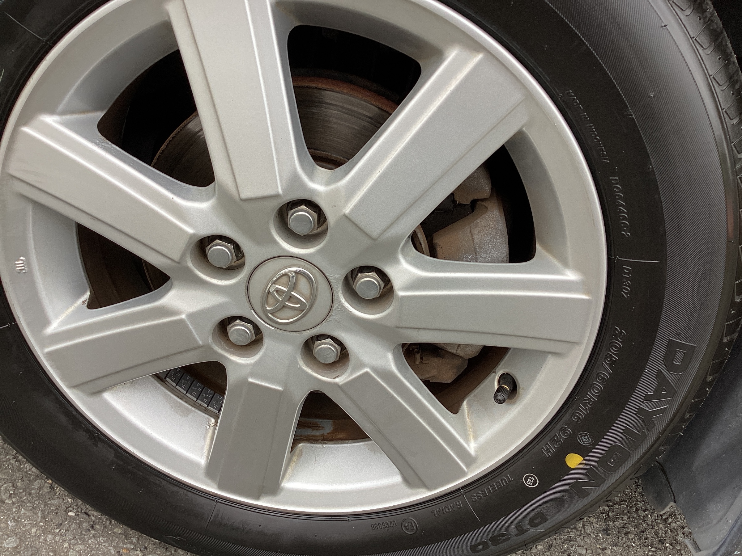 スタッフ撮影分