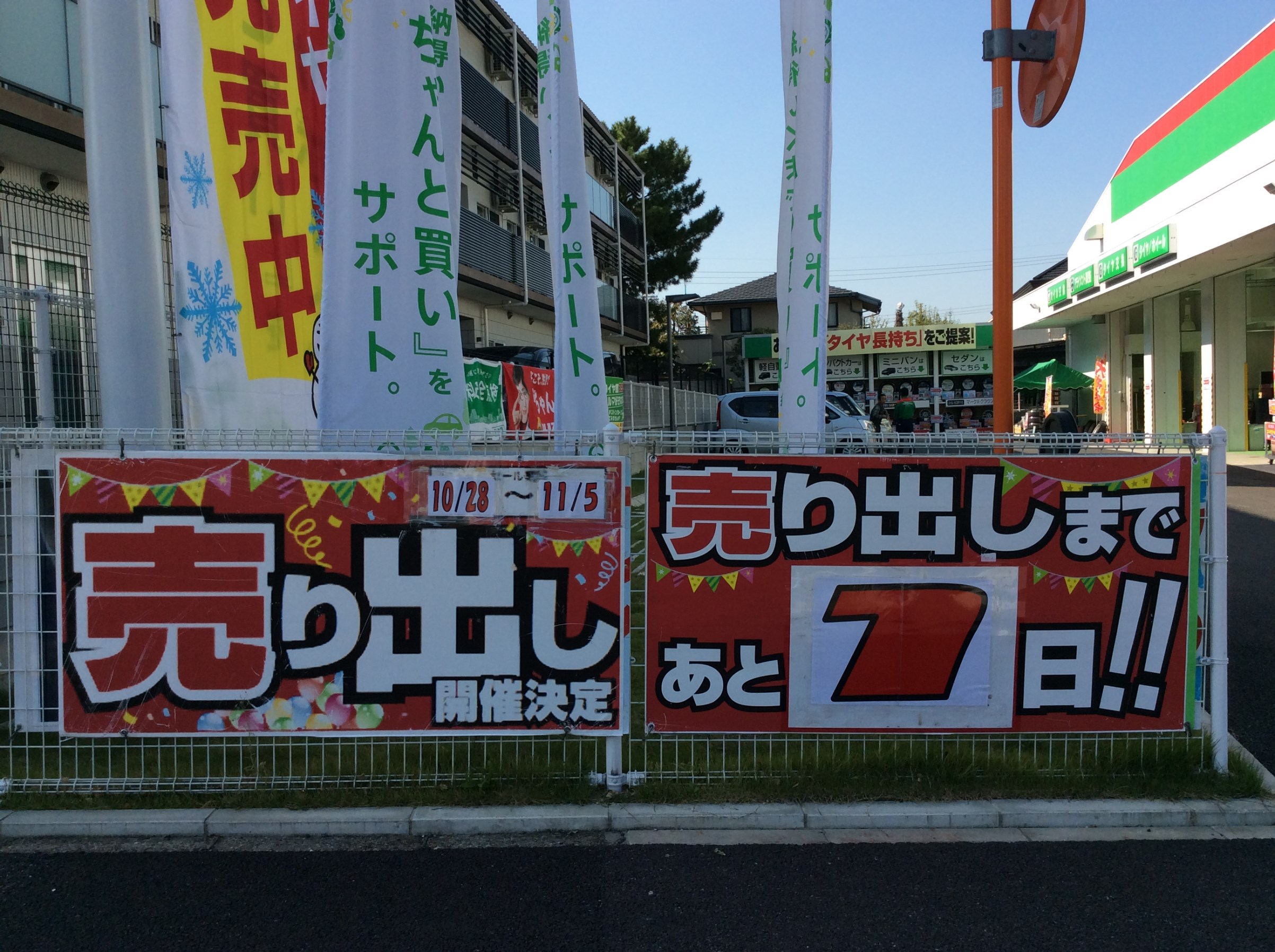 スタッフが撮影した画像です