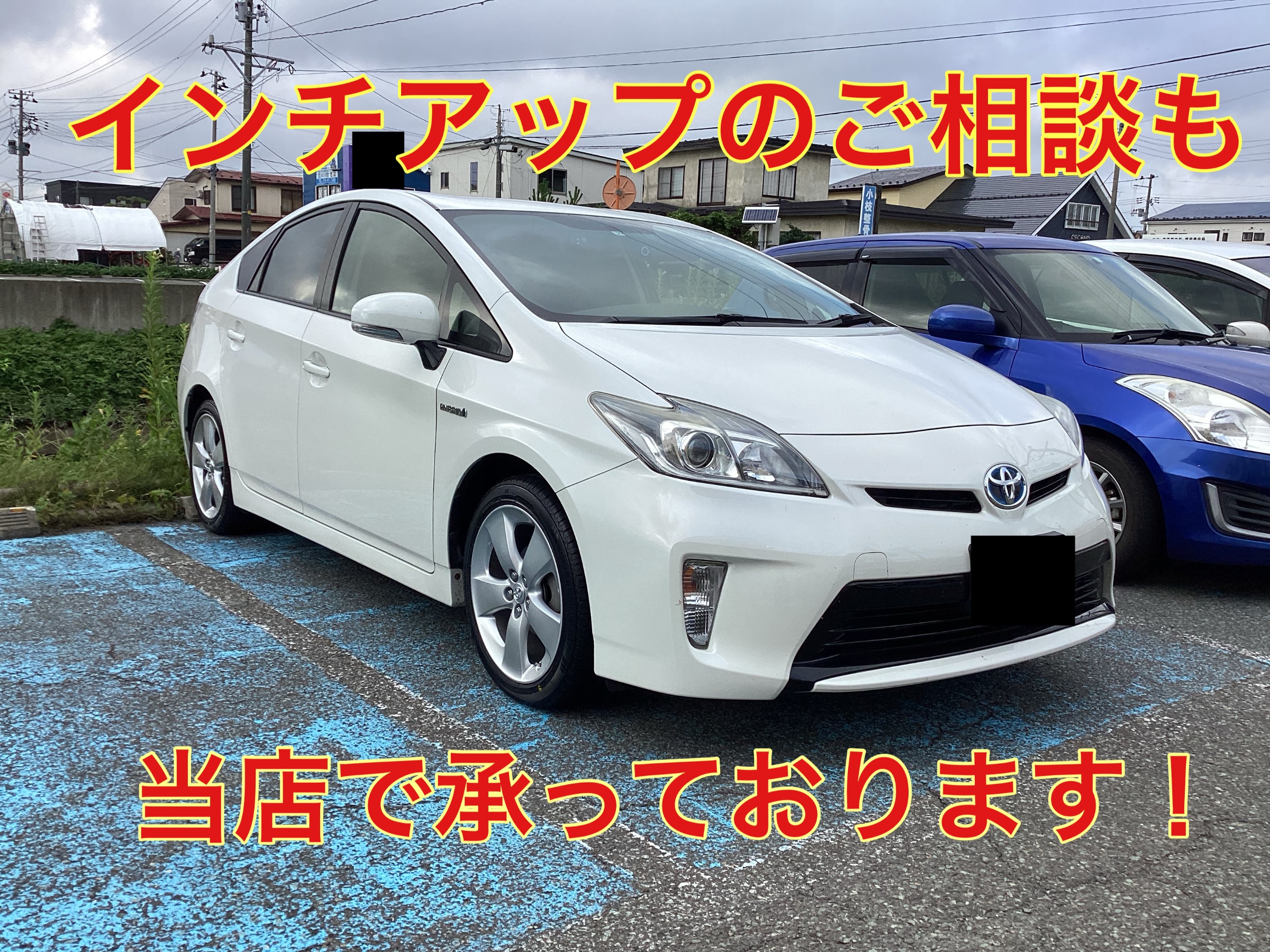 スタッフ撮影。無料画像編集アプリにて編集