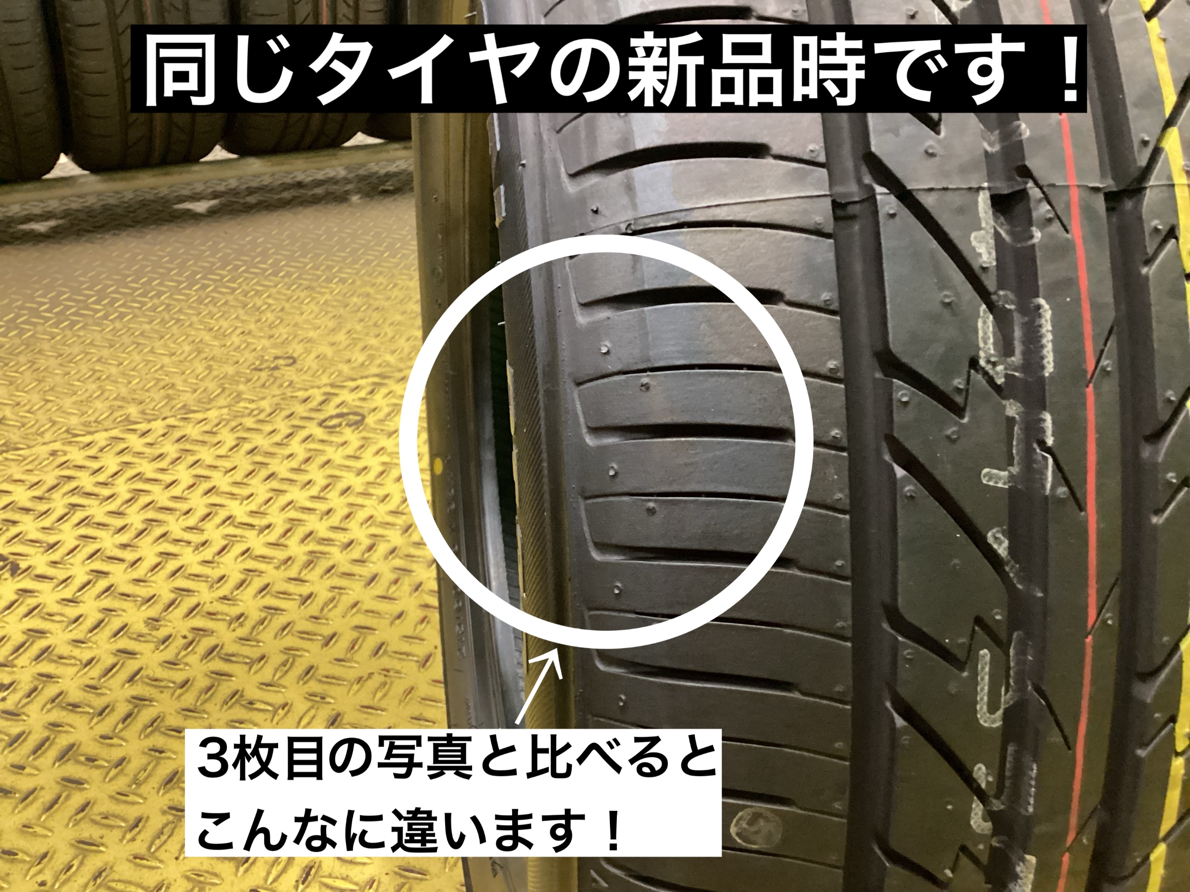 スタッフが撮影