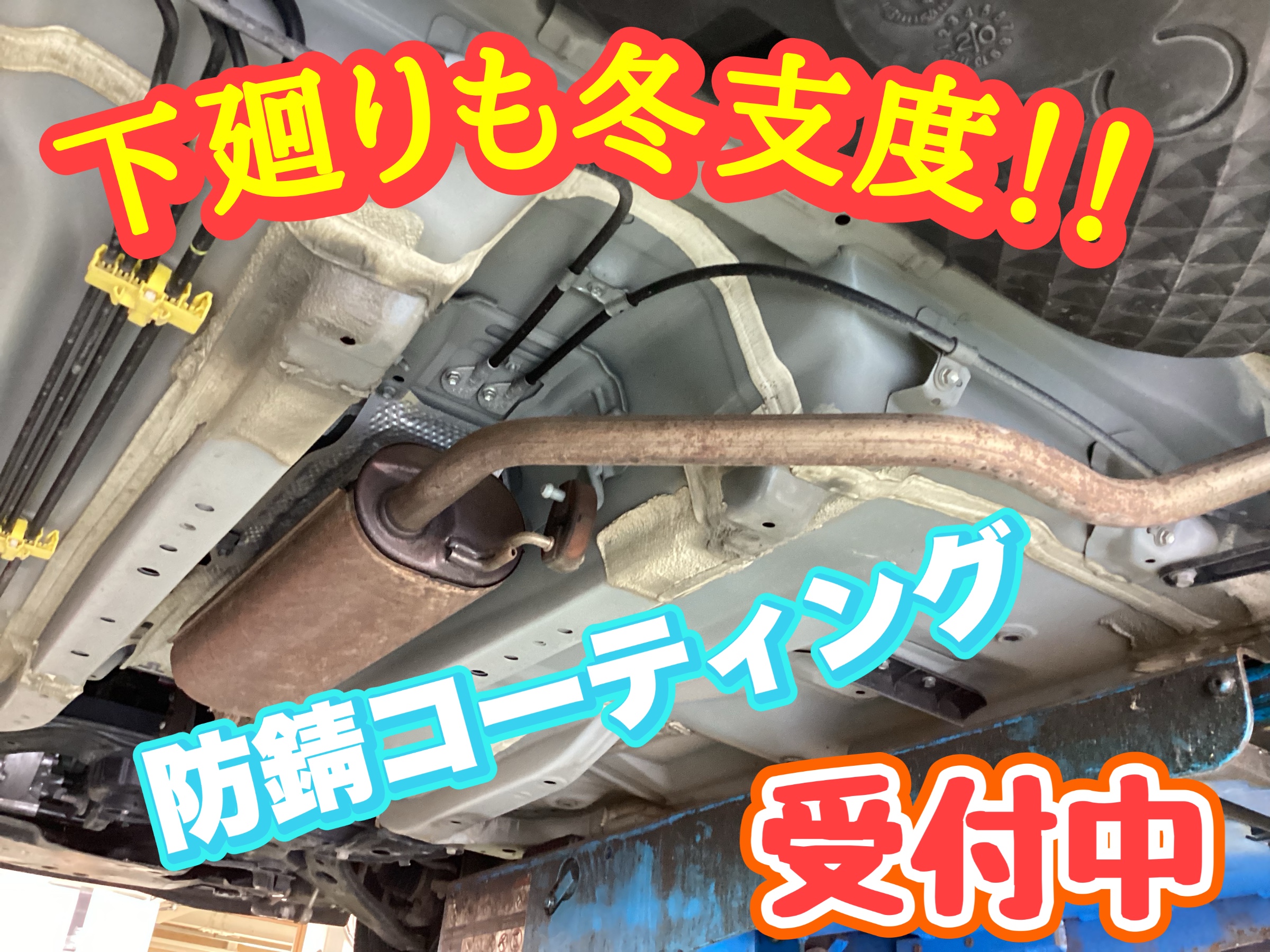 スタッフ撮影