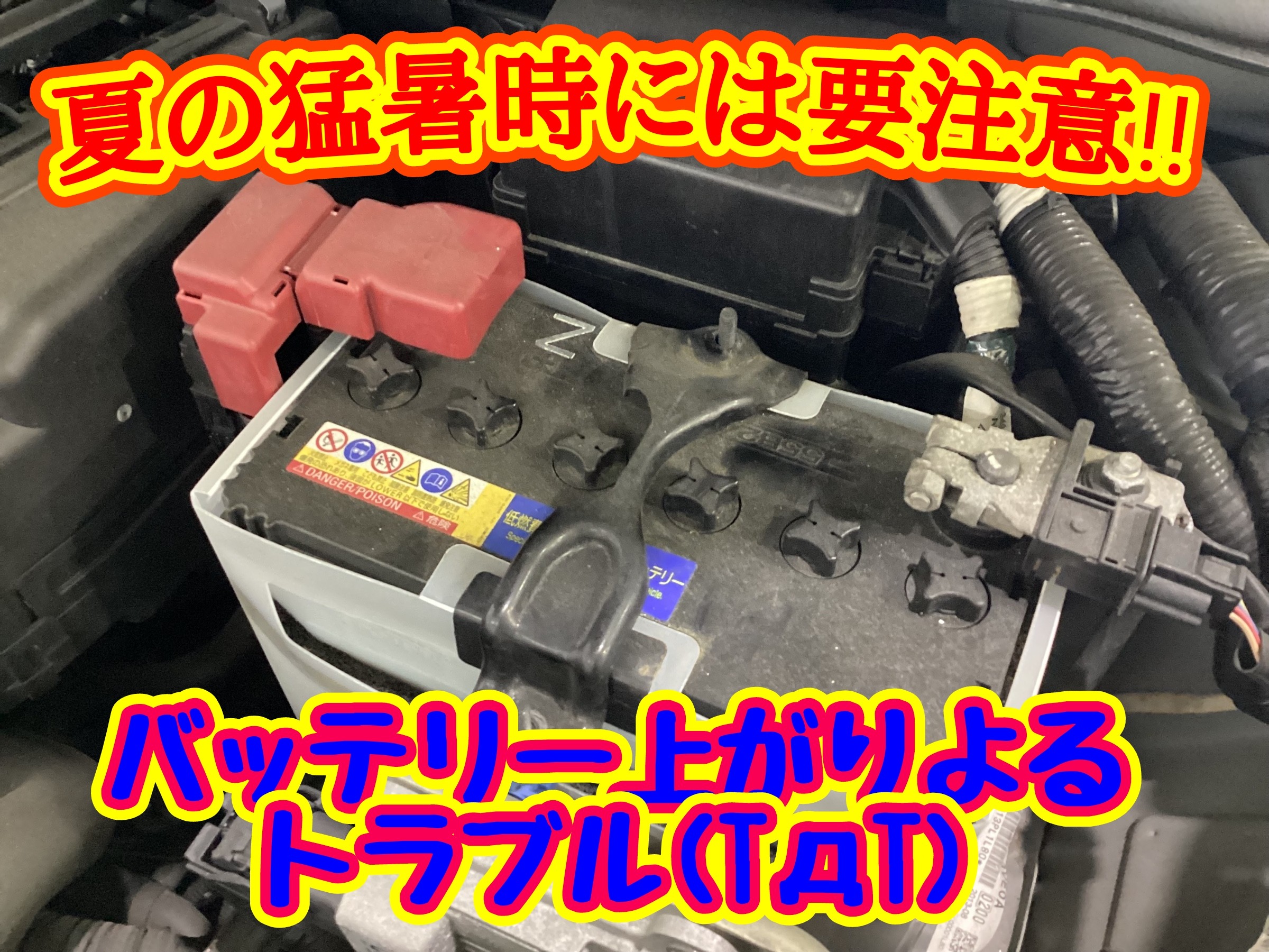 スタッフ撮影