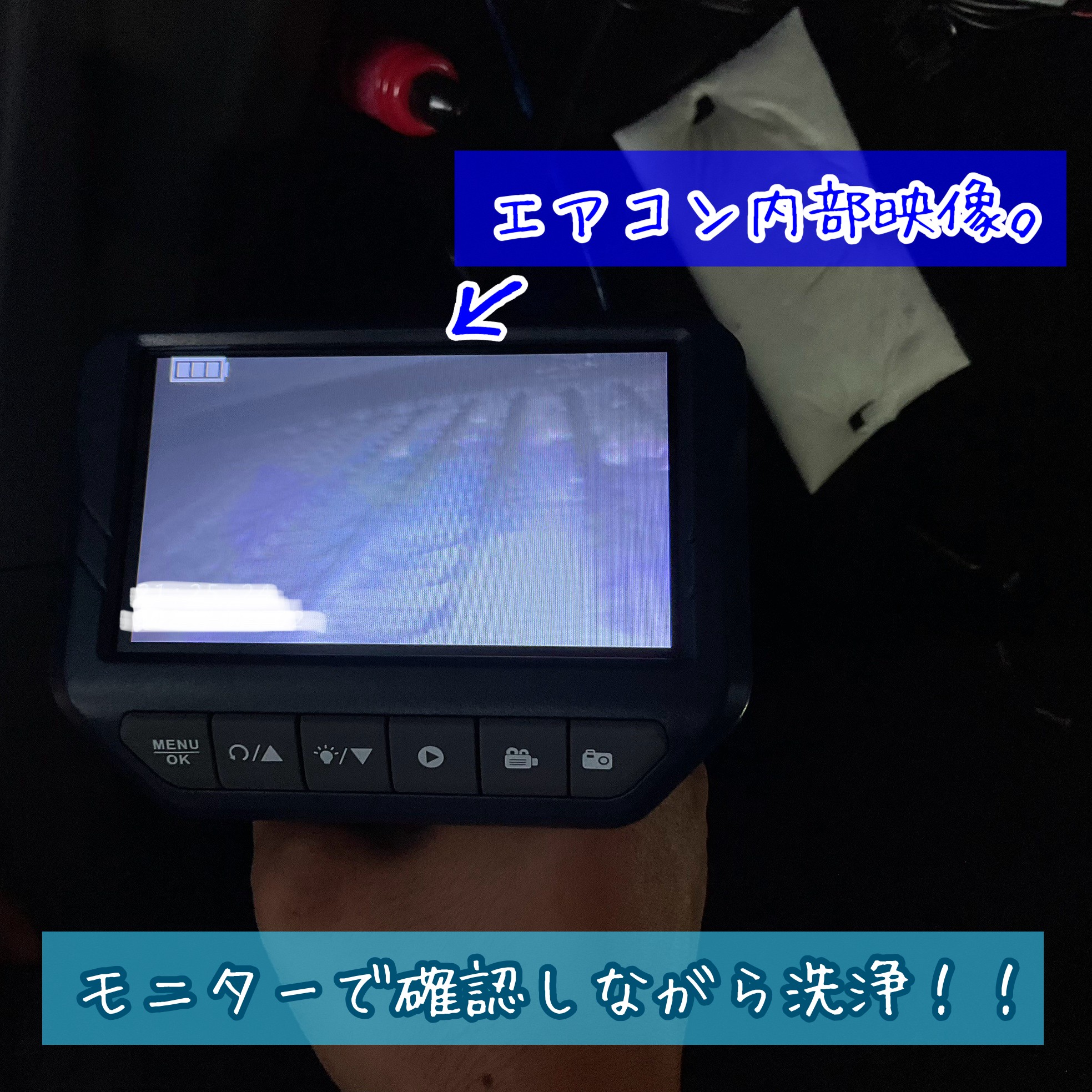 スタッフが撮影加工した画像