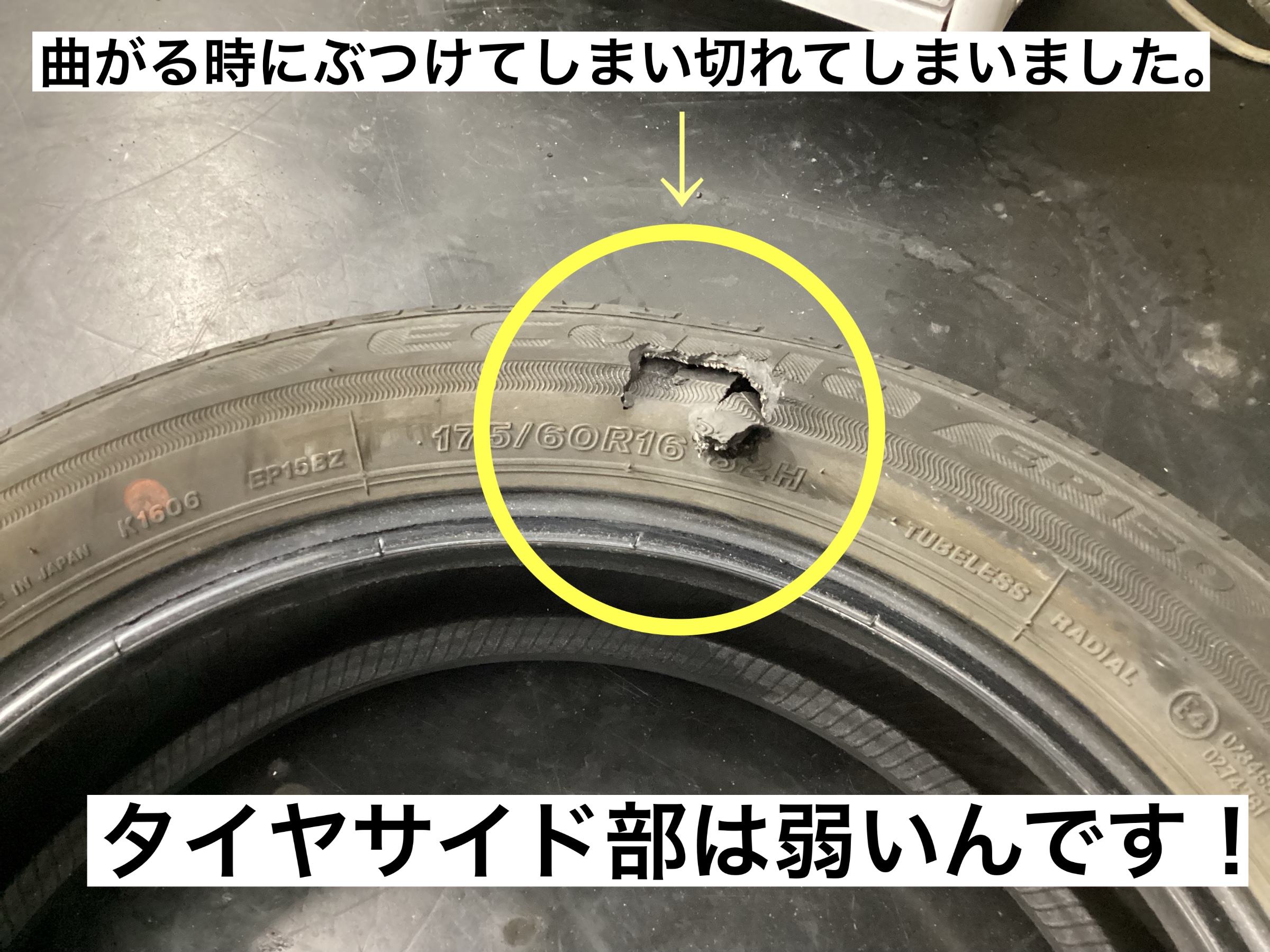 スタッフが撮影