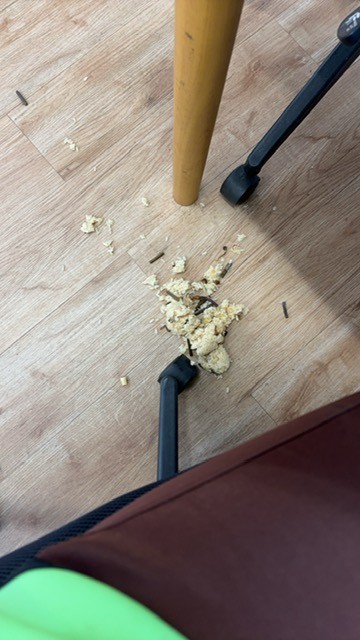 スタッフ撮影です。