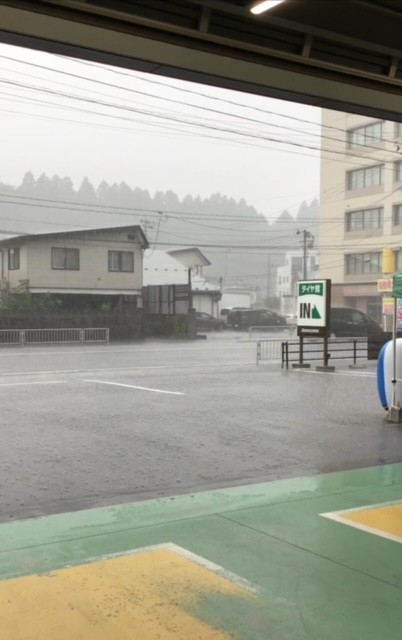 スタッフ撮影です。