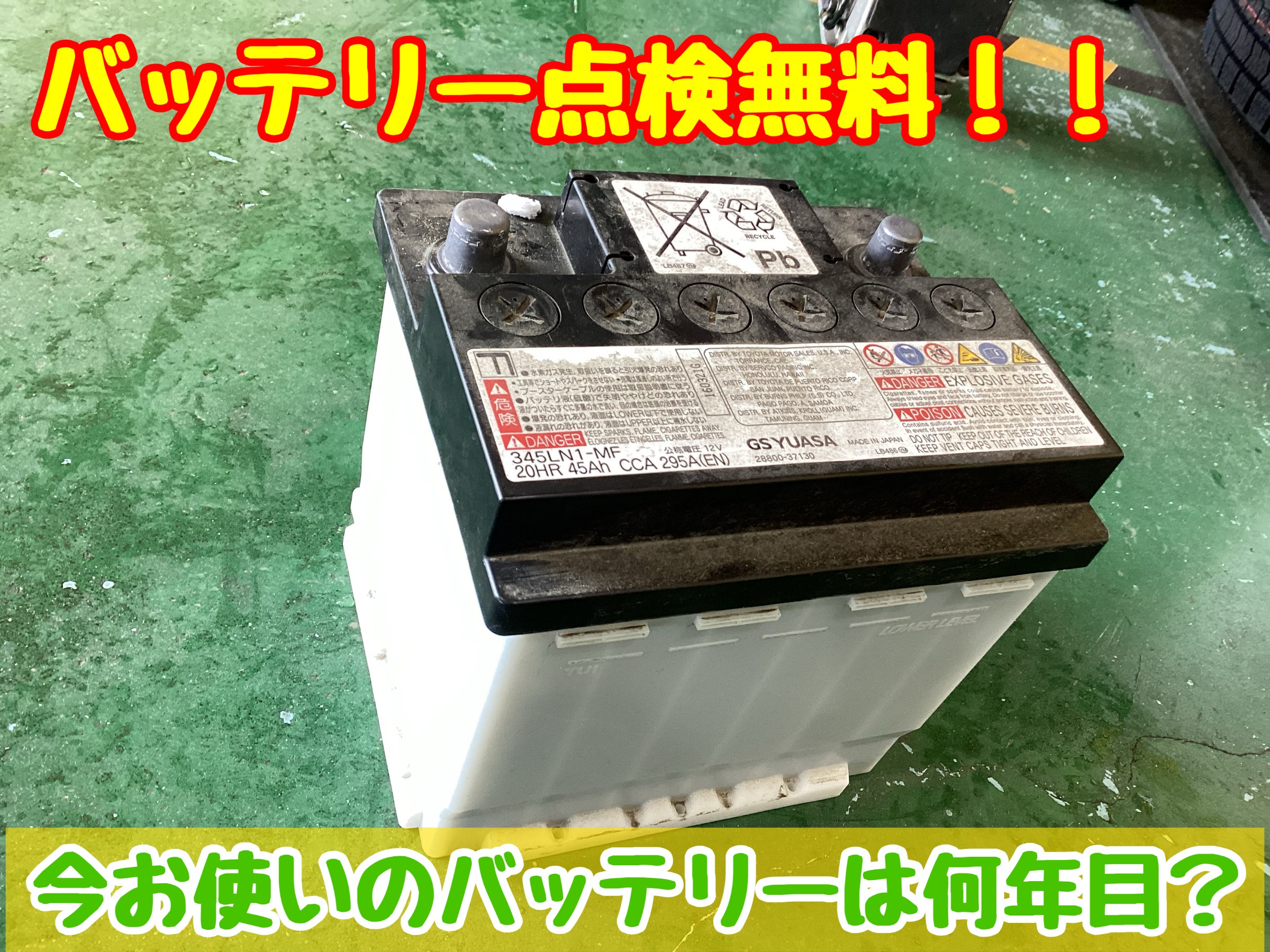 スタッフが撮影加工した画像