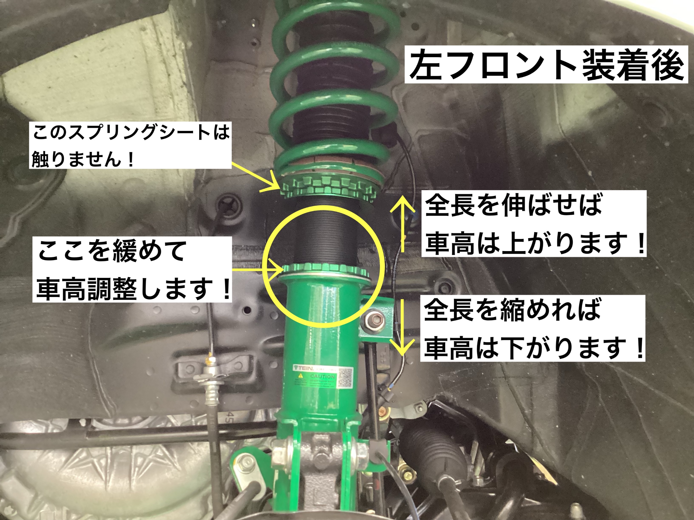スタッフが撮影