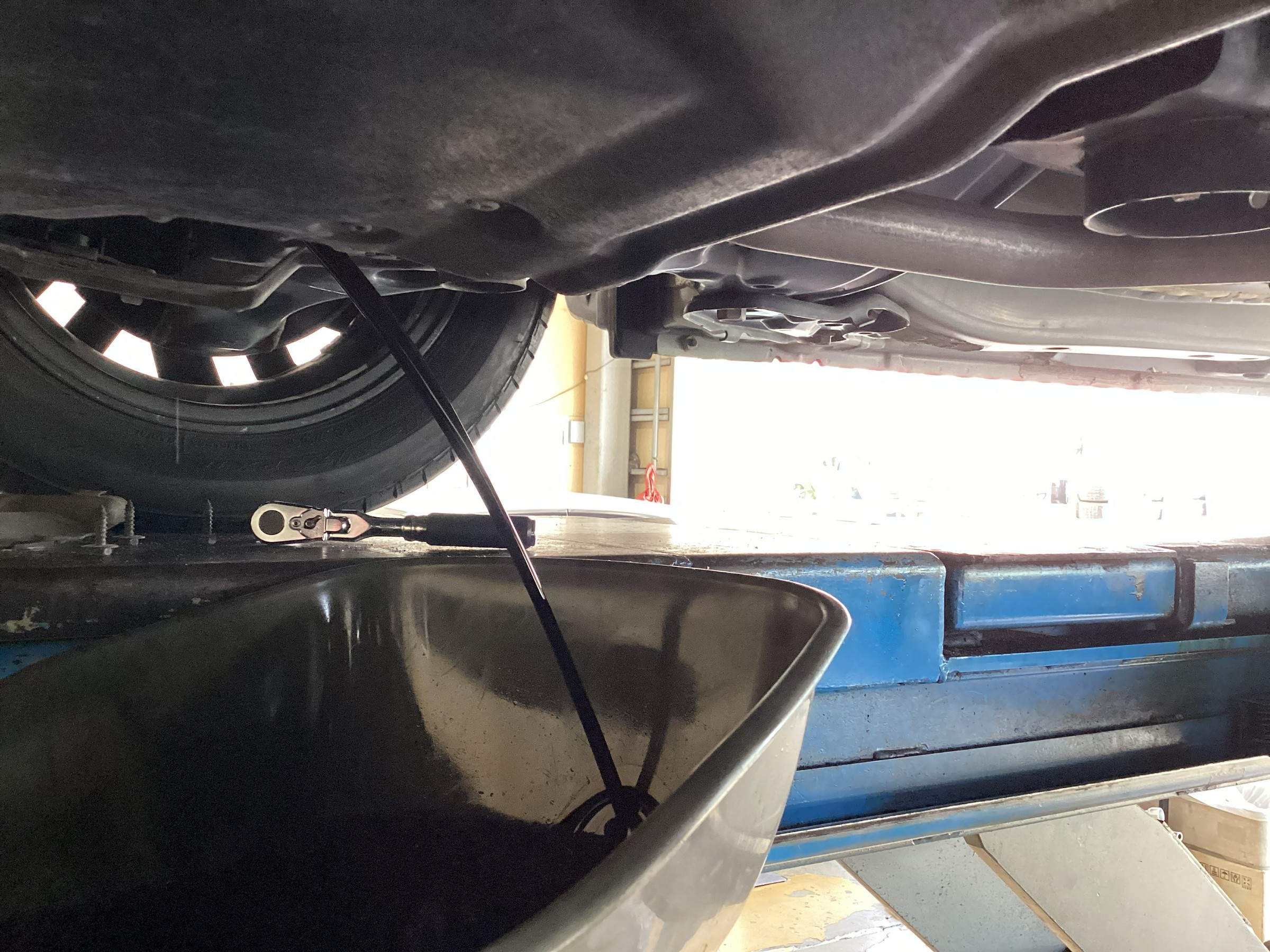 スタッフが撮影した画像です