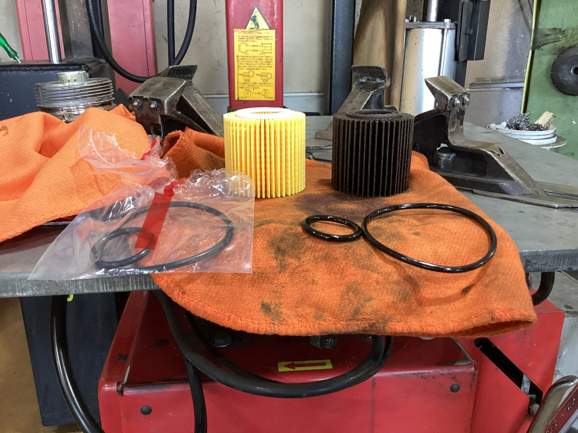 スタッフが撮影した画像です