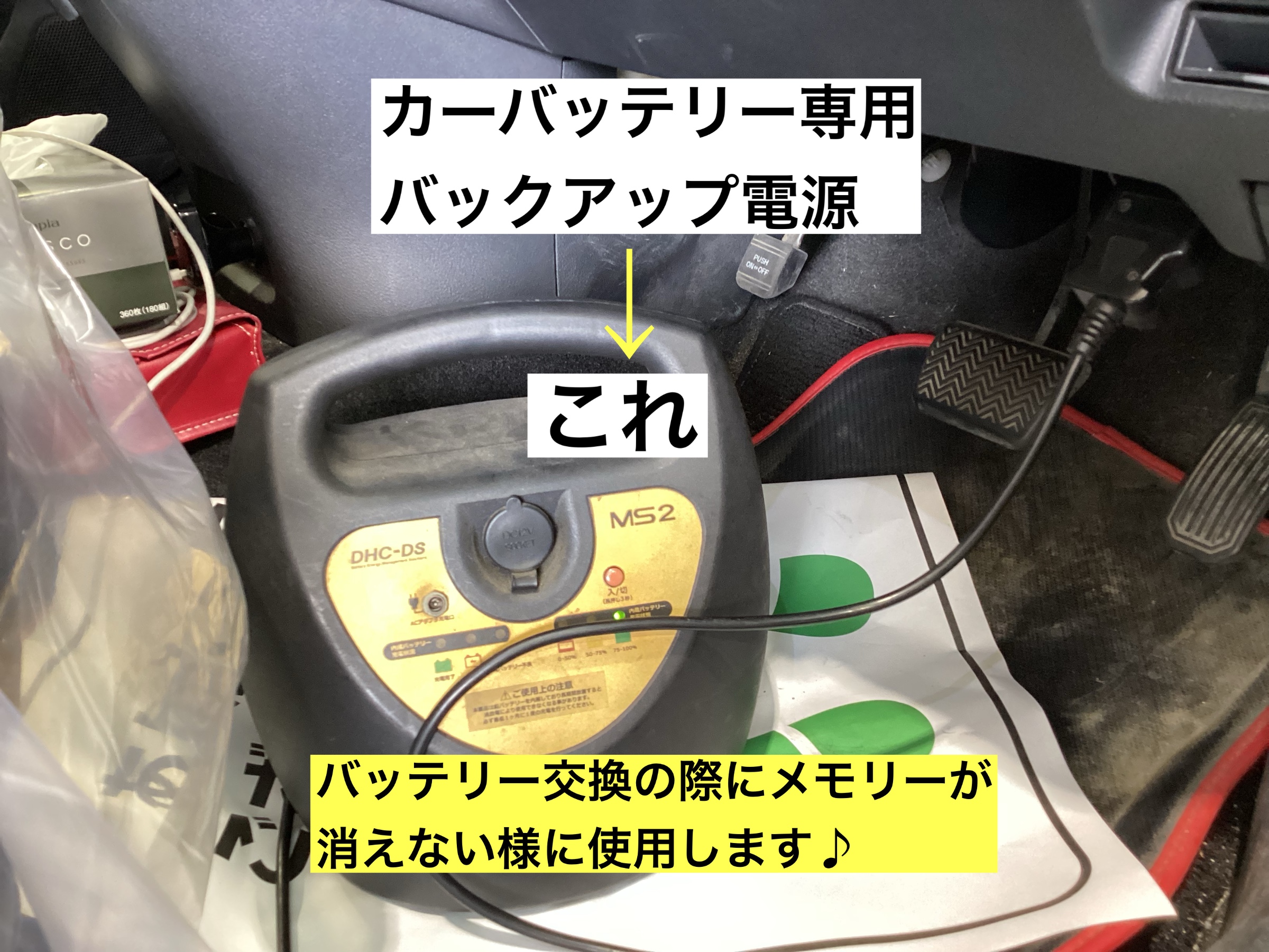 スタッフが撮影