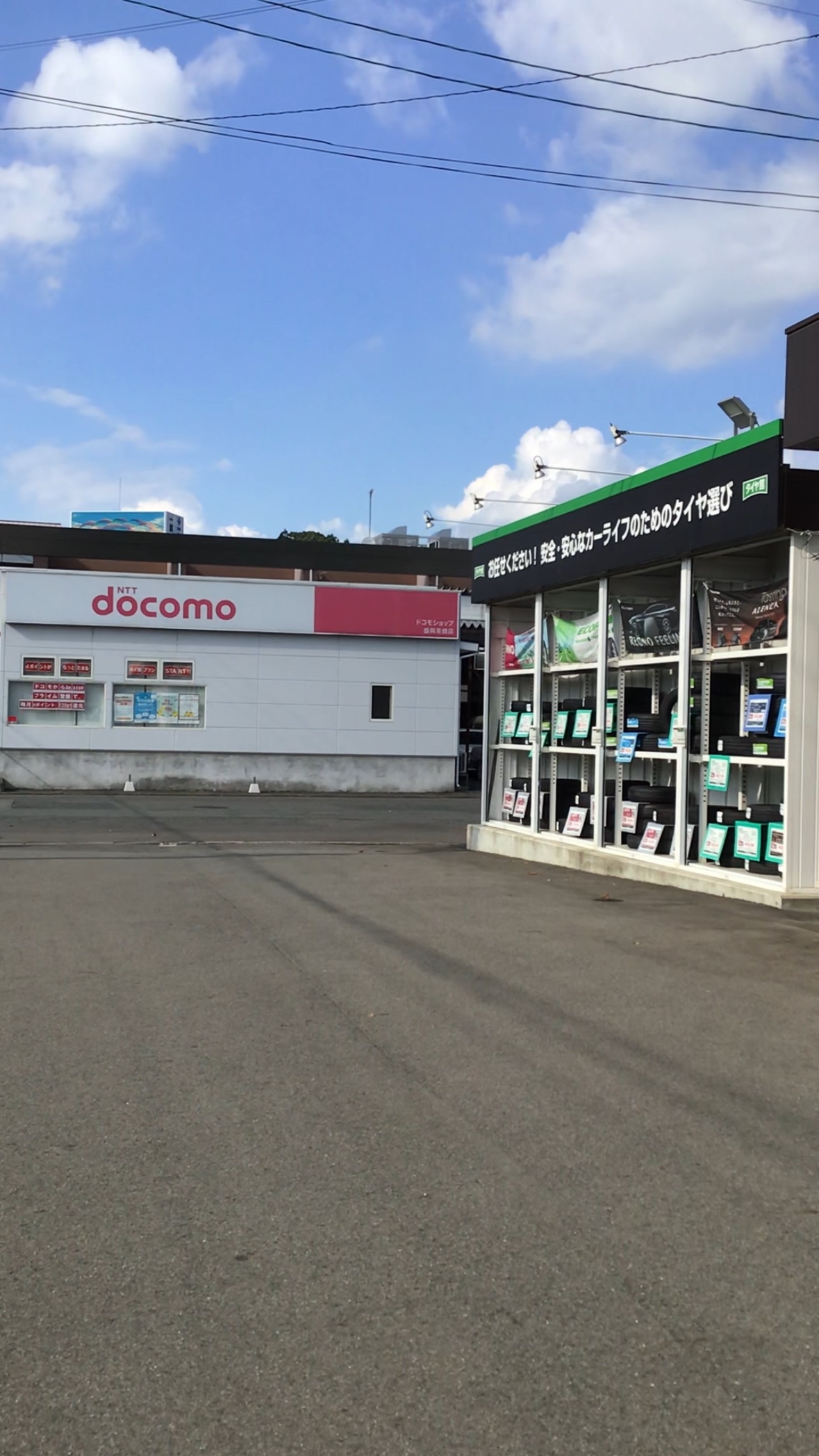 スタッフ撮影です。