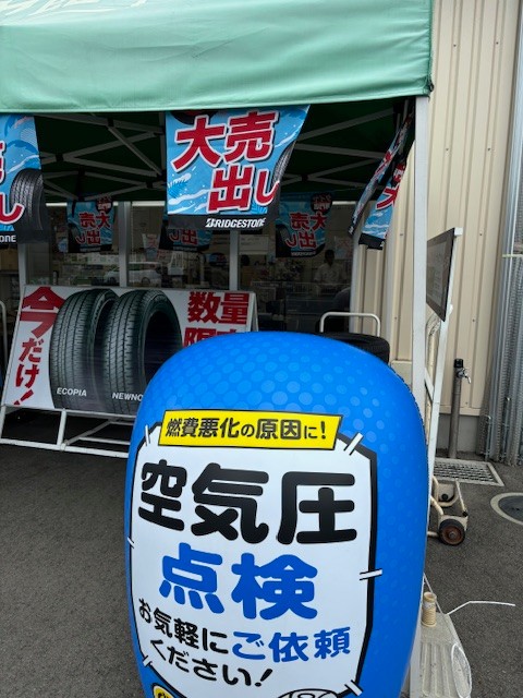 スタッフ撮影です。