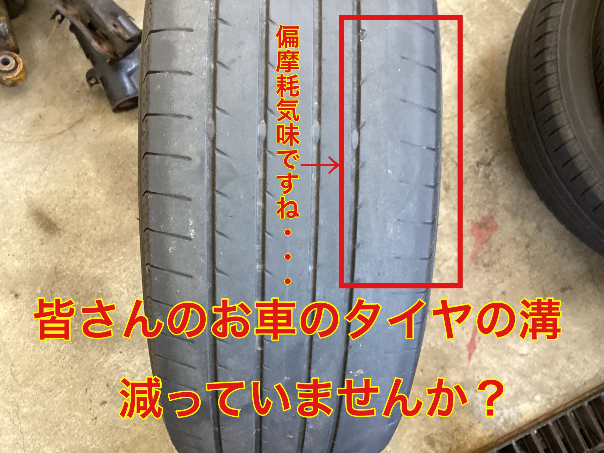 スタッフ撮影。無料画像編集アプリにて編集