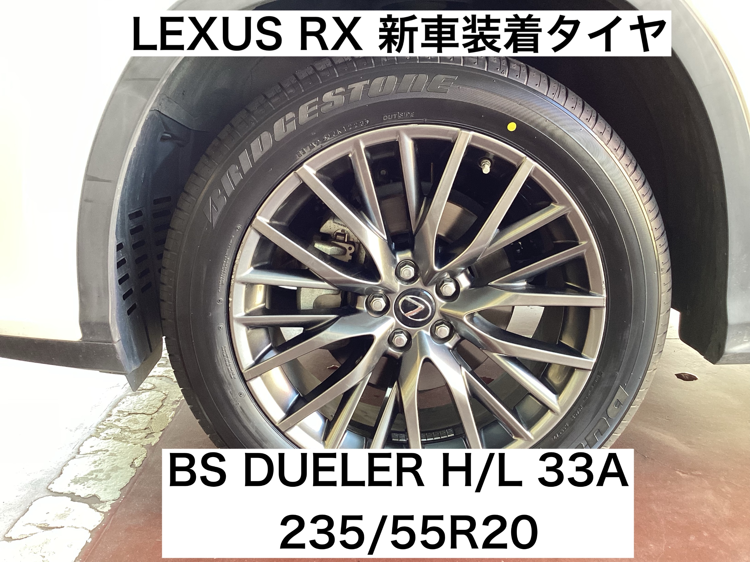 スタッフが撮影