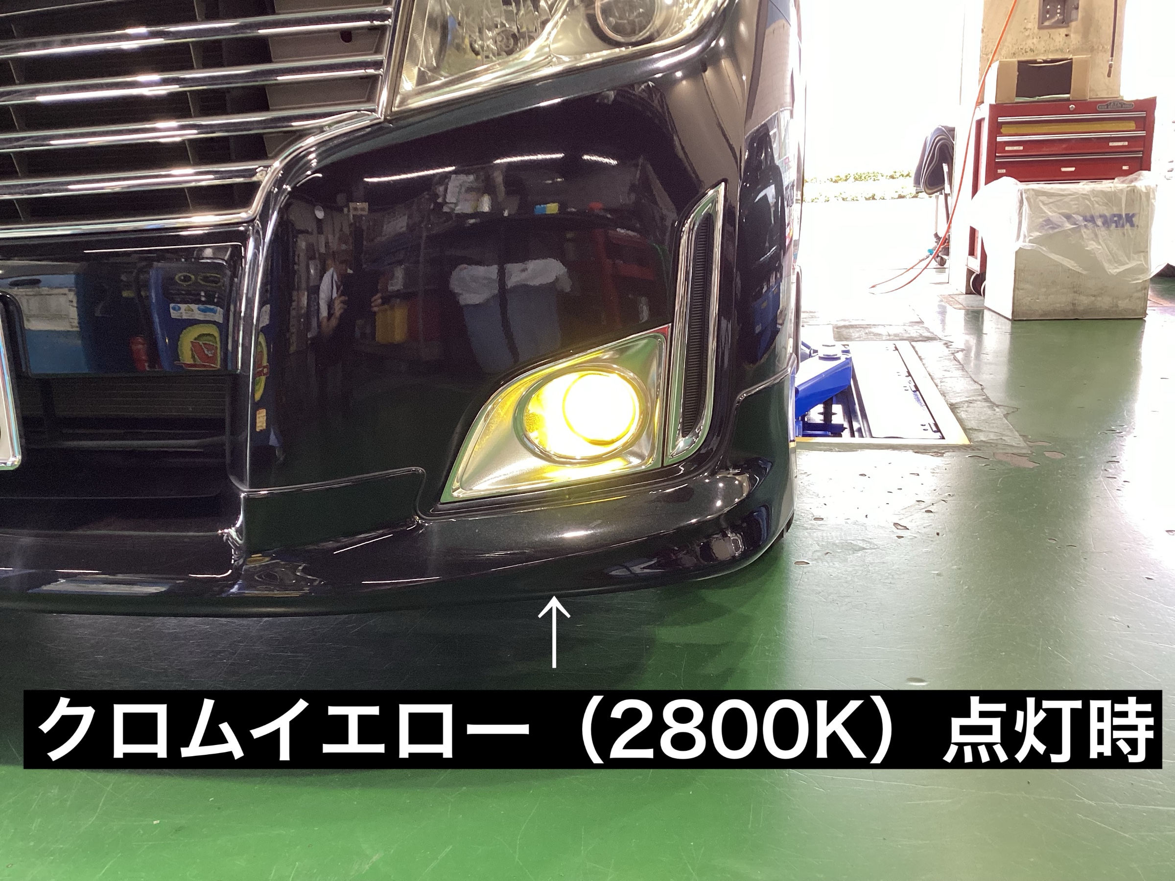 スタッフが撮影