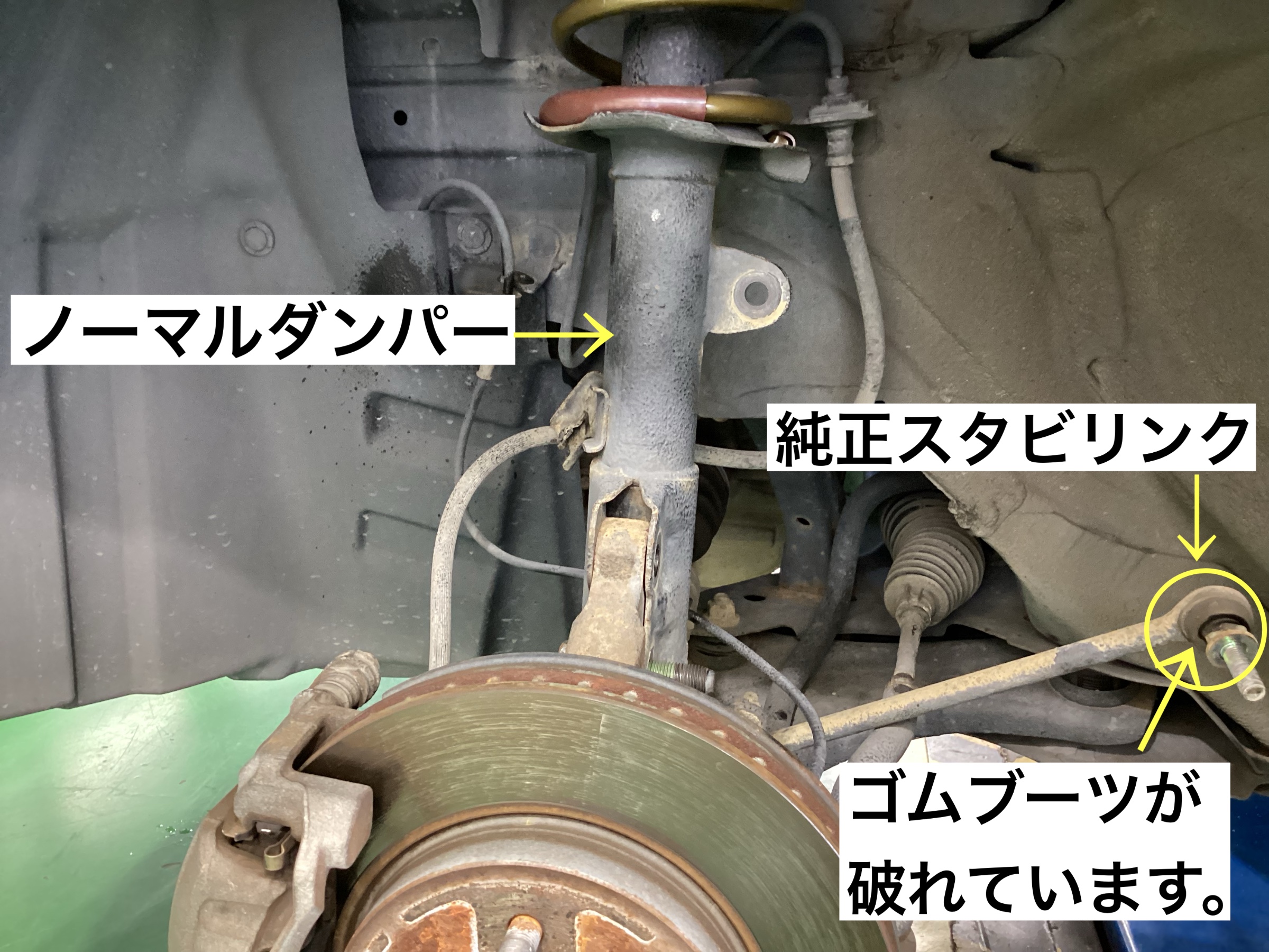スタッフが撮影