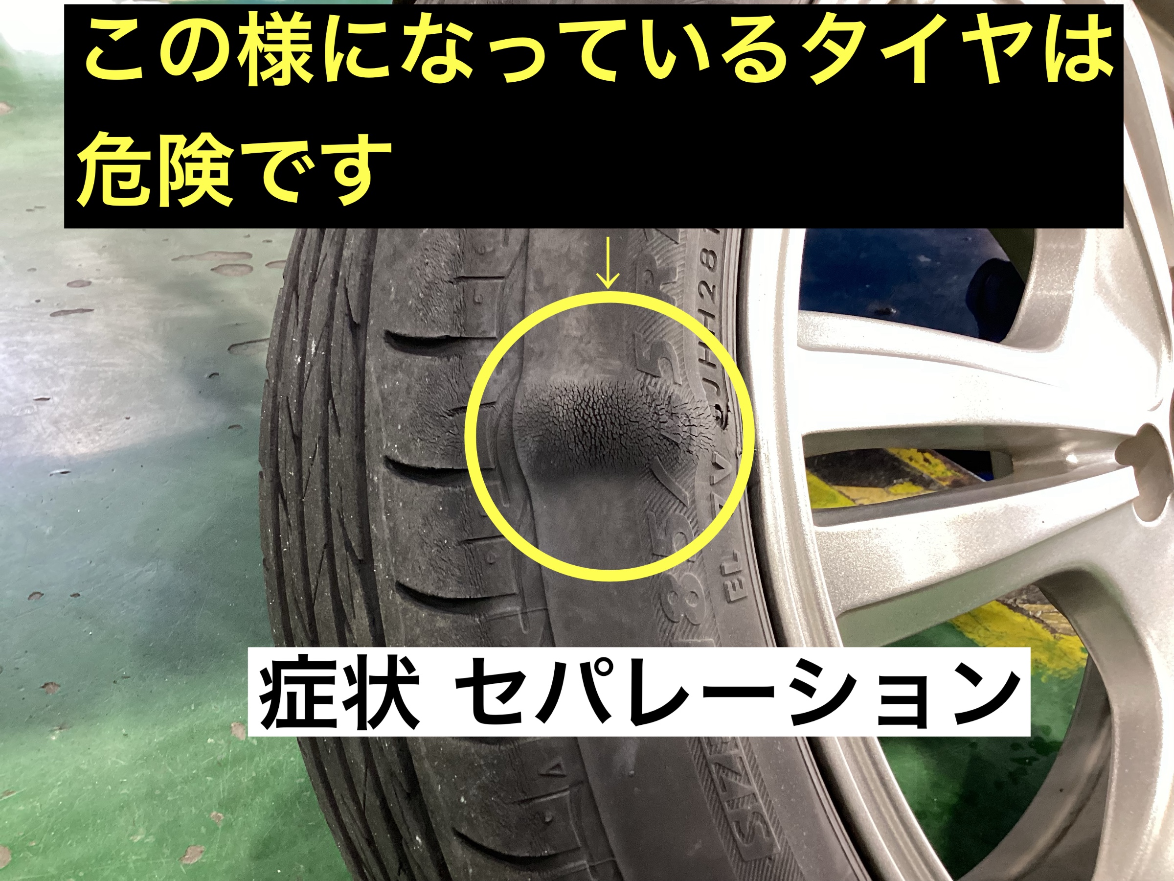 スタッフが撮影