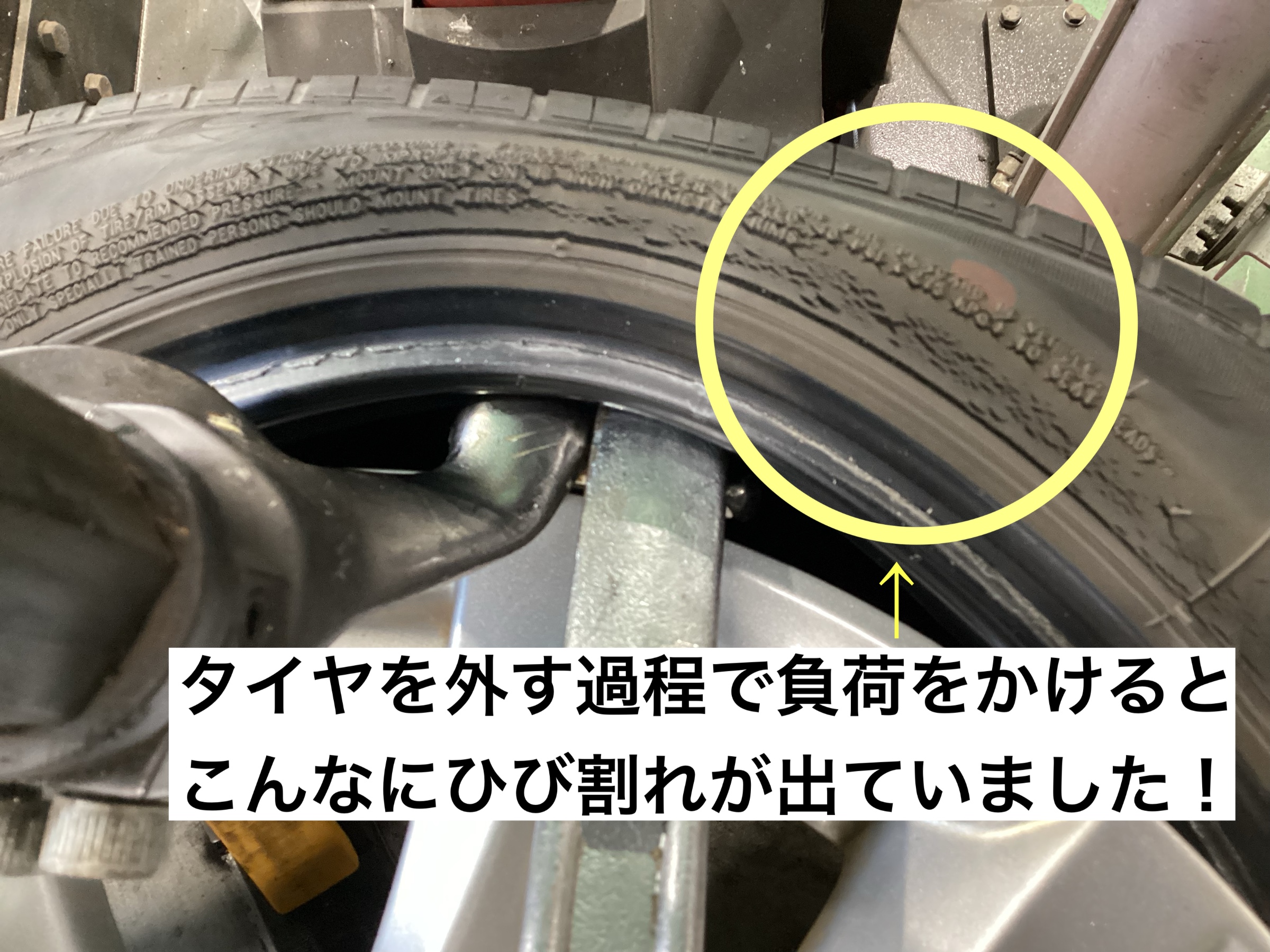 スタッフが撮影