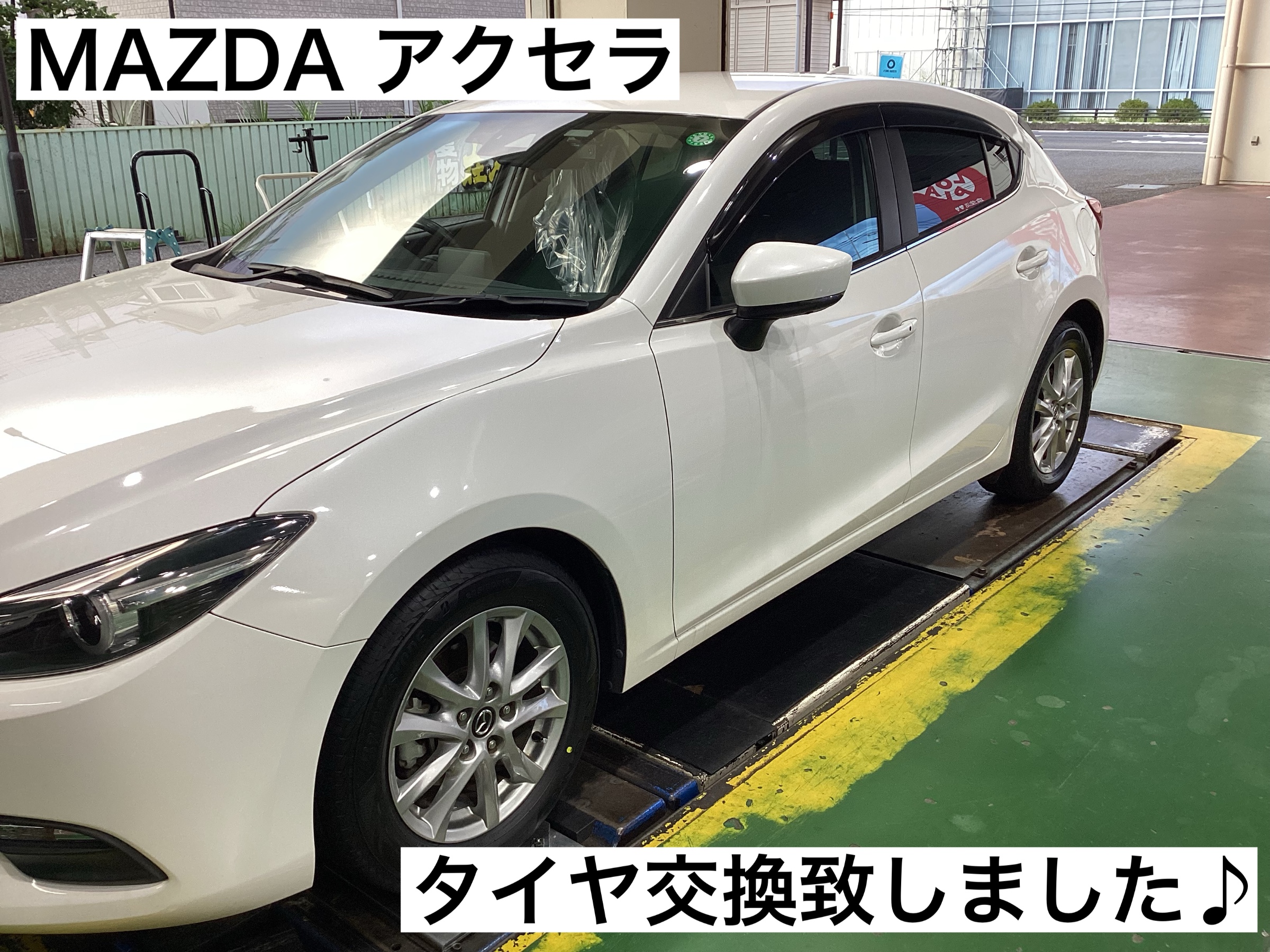 スタッフが撮影