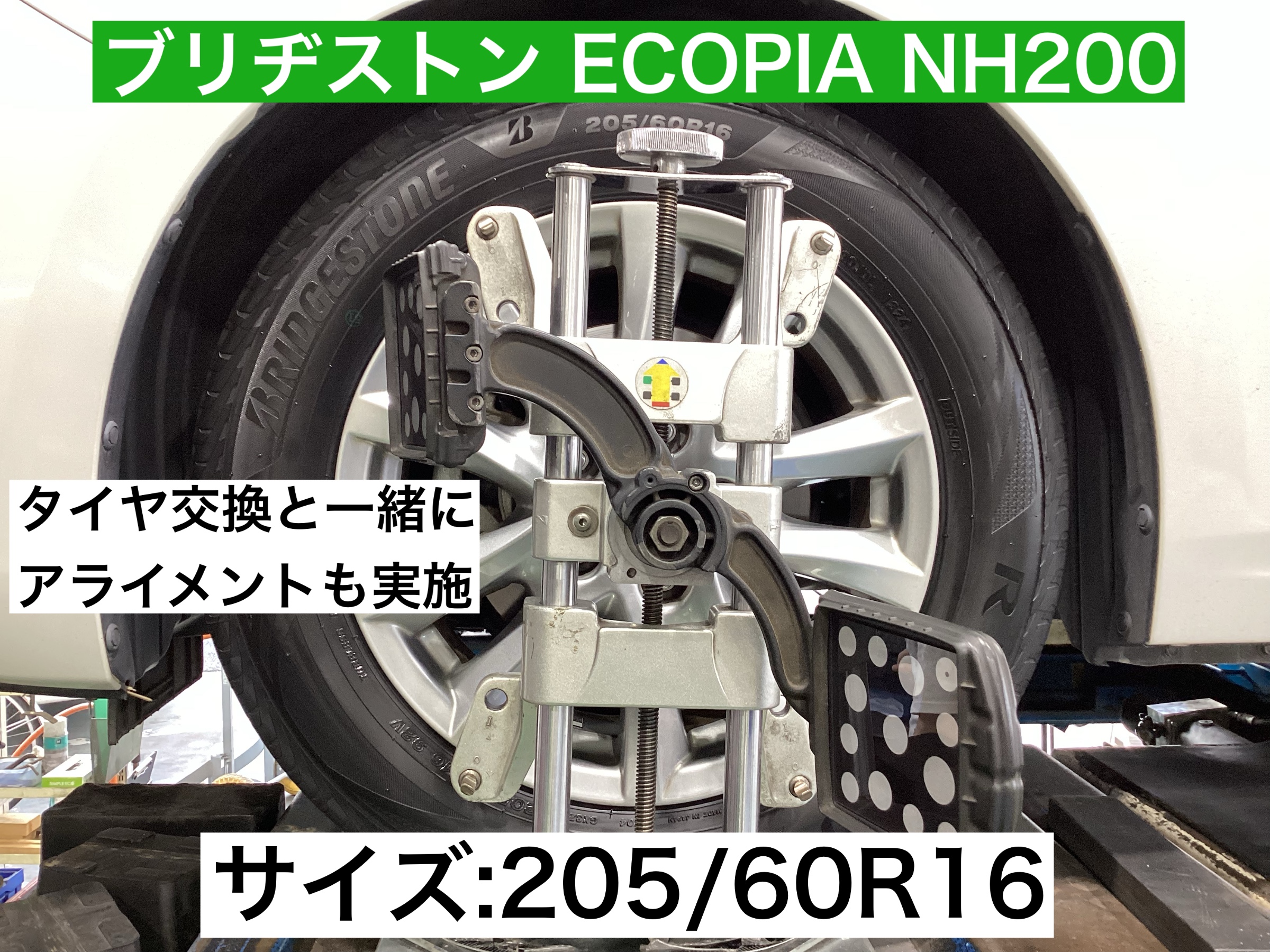 スタッフが撮影