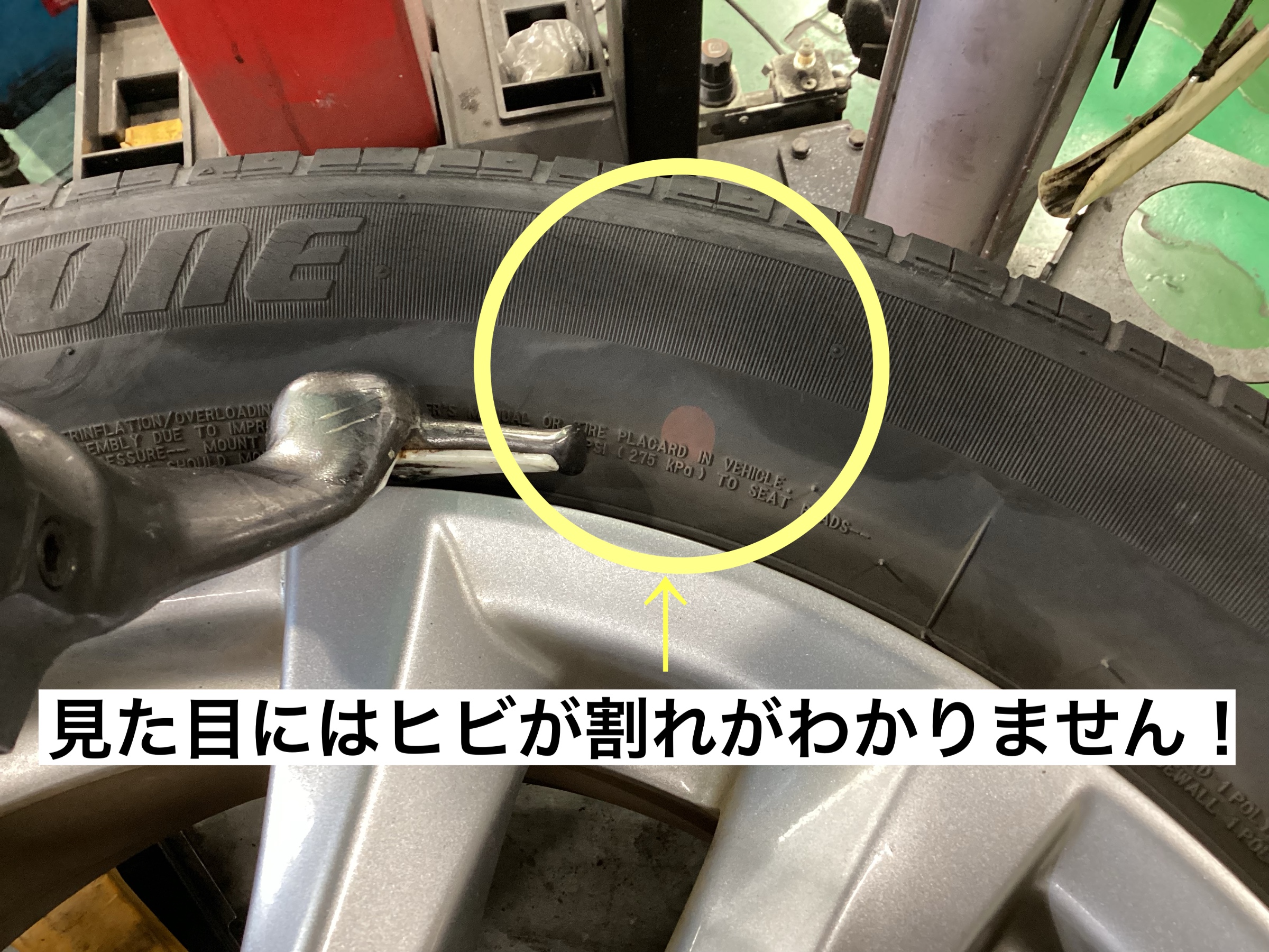 スタッフが撮影